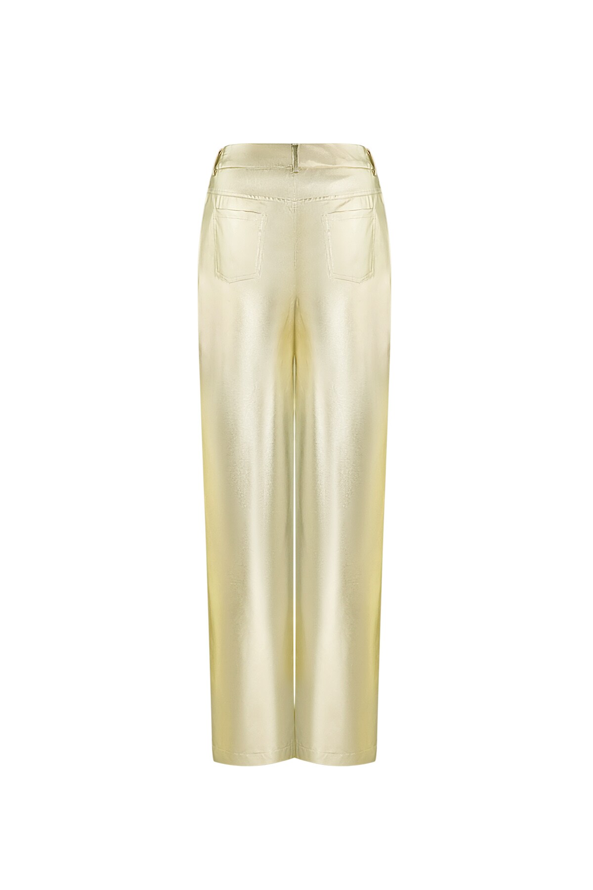 Metallic pants - Gold color h5 Picture7