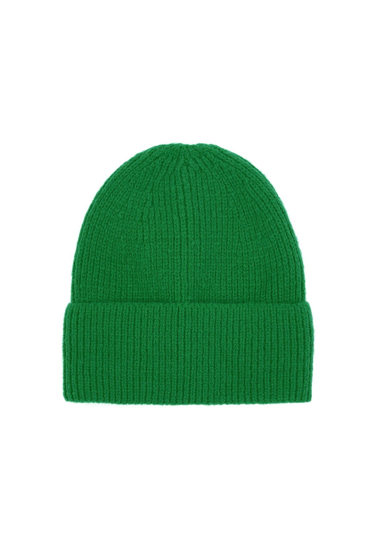 Everyday beanie - green 