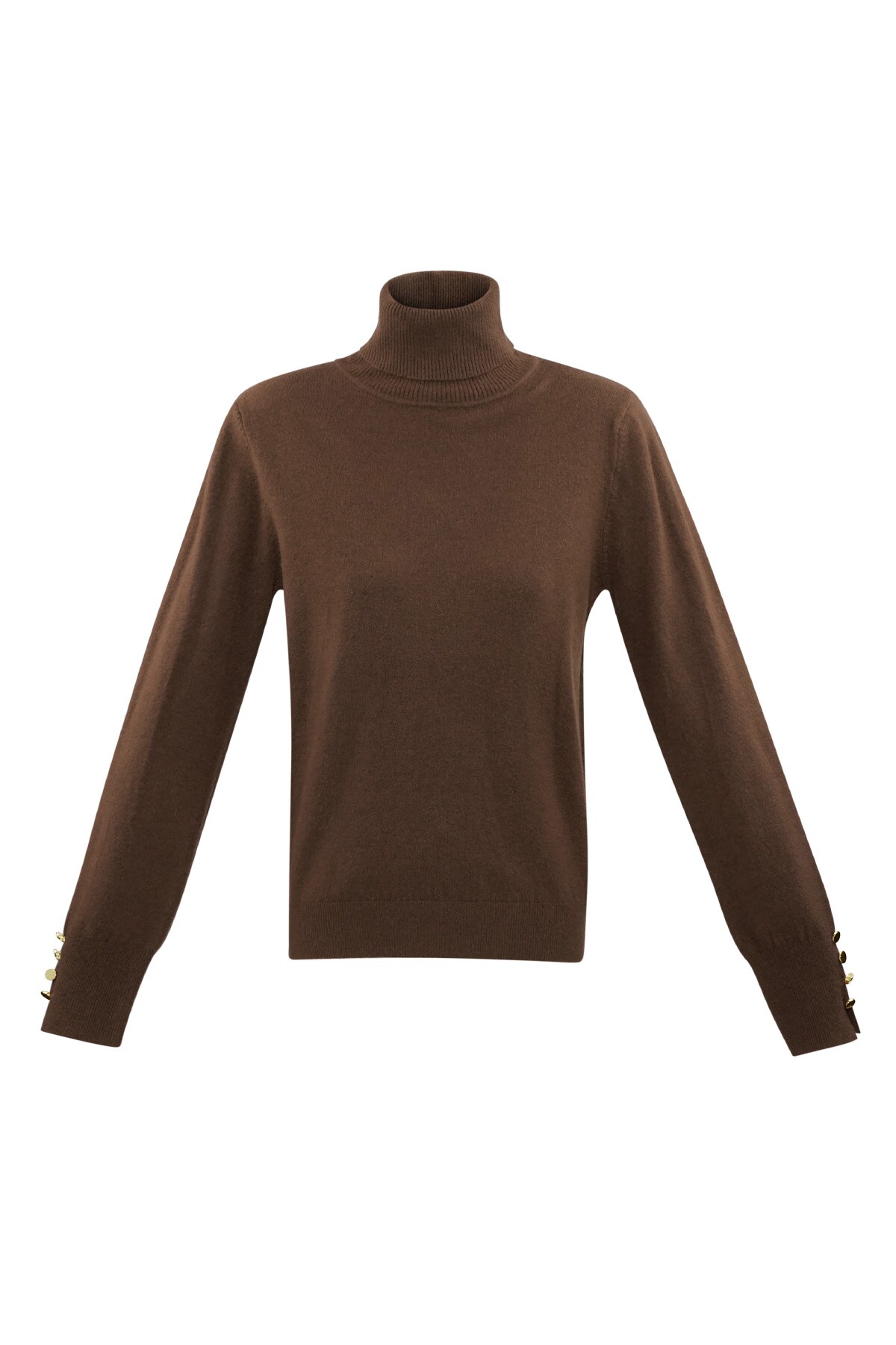 Tender Touch turtleneck - brown h5 