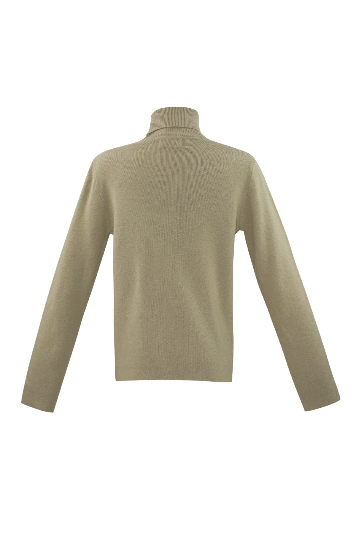 Honeydew turtleneck - camel Picture7