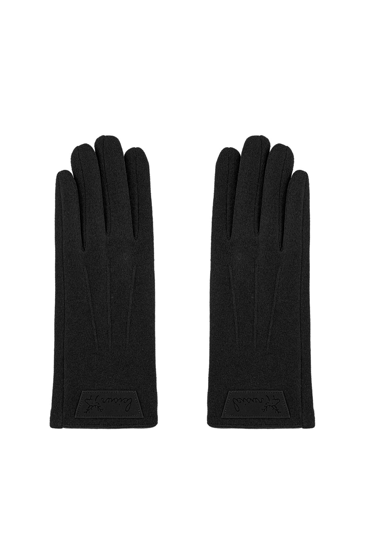 Timeless chic glove - black h5 