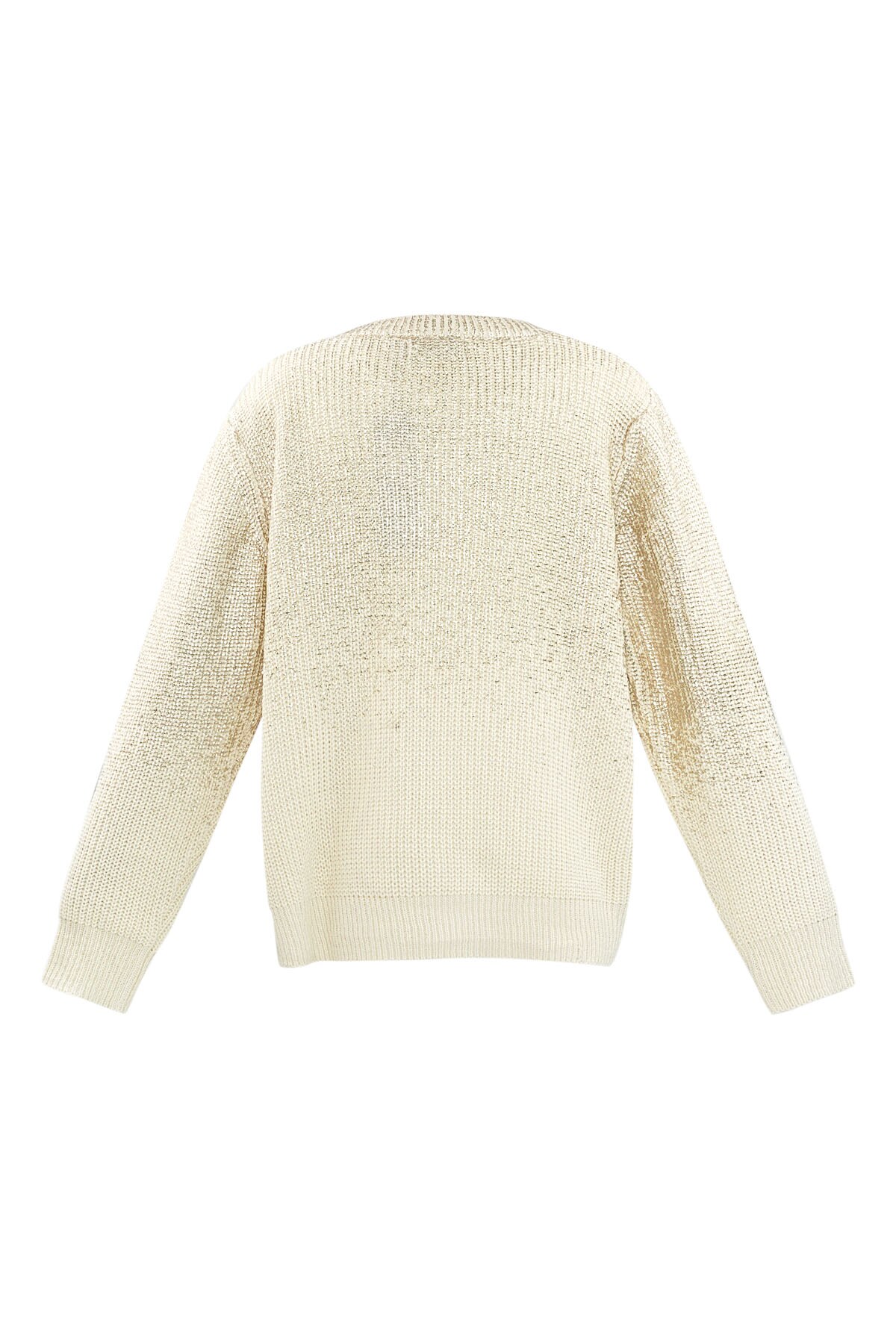 Glitz and Glow sweater - Silver color h5 Picture7