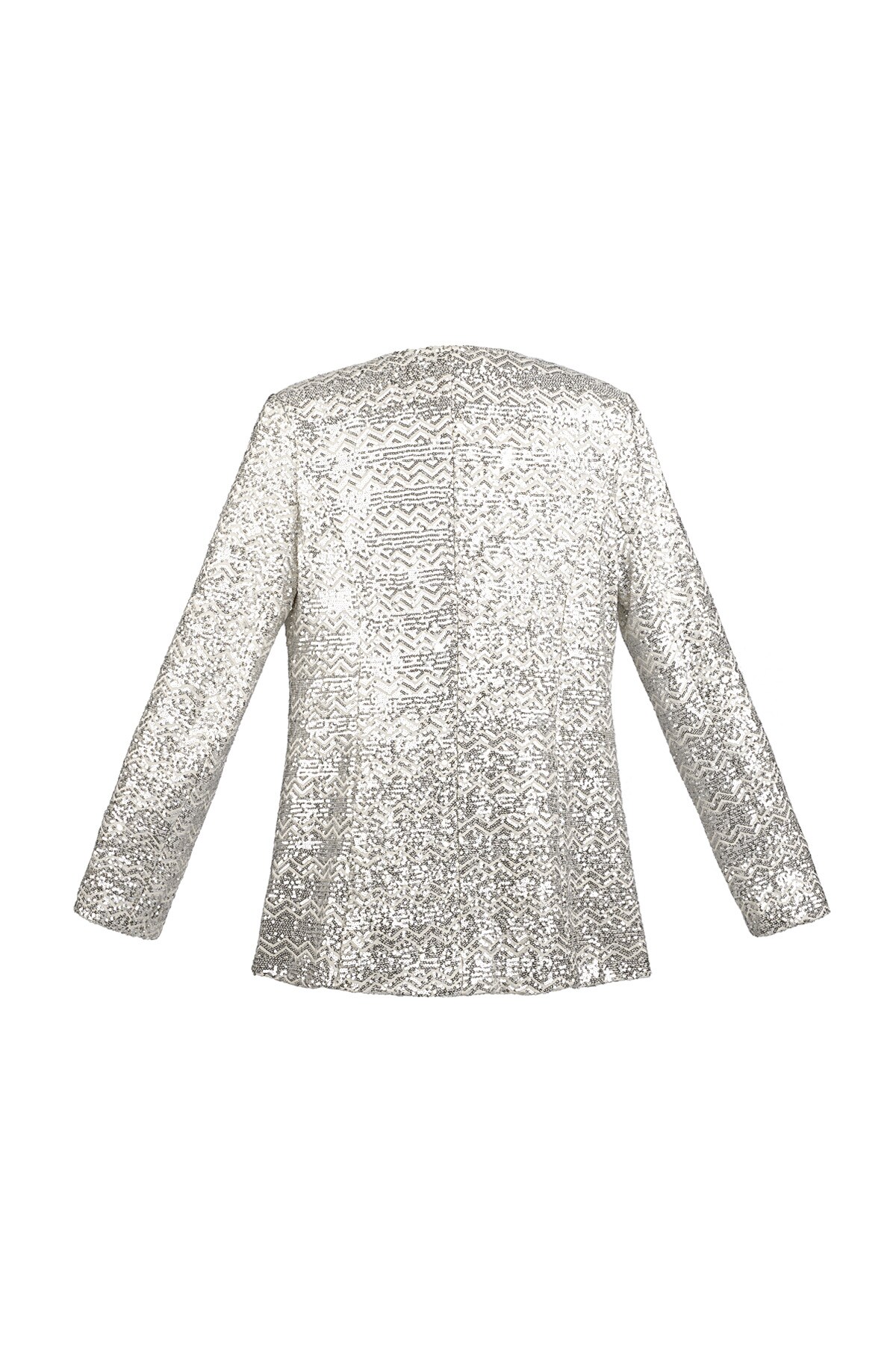 Glitter blazer - Silver color h5 Picture7