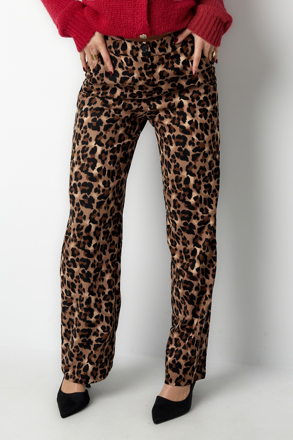 Pantaloni Leopard Lover - marrone h5 Immagine2