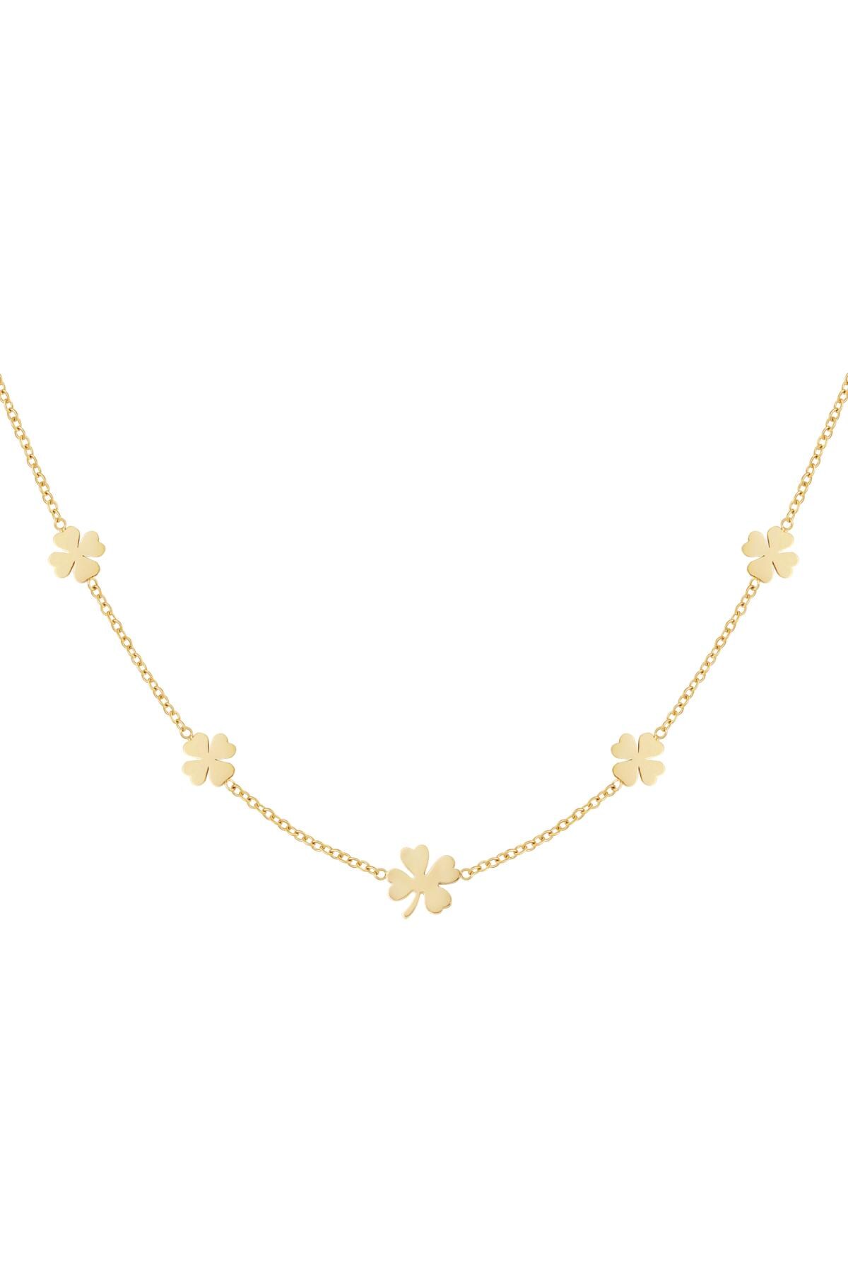 Necklace 5 clovers Gold Stainless Steel h5 