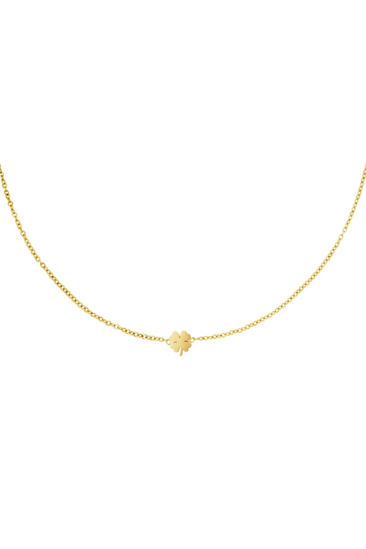 Gold color / Stainless steel necklace clover Gold Picture2