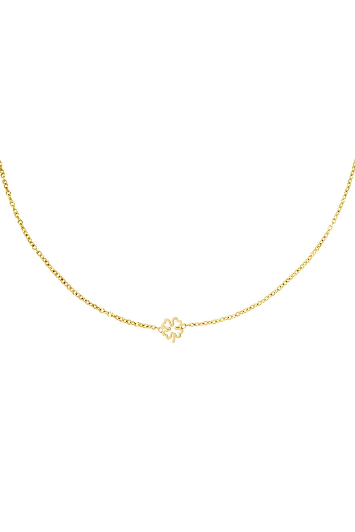 Gold color / Necklace open clover Gold Stainless Steel Picture2