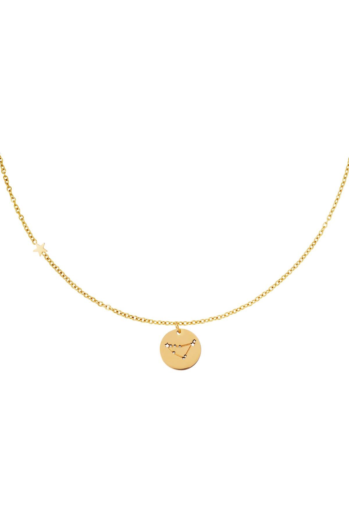 Necklace zodiac sign Capricorn Gold Stainless Steel h5 