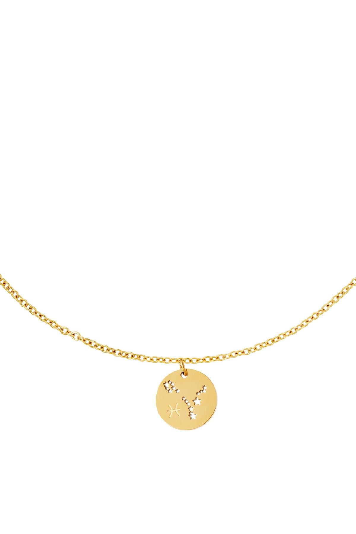 Necklace zodiac sign Pisces Gold Stainless Steel Picture2