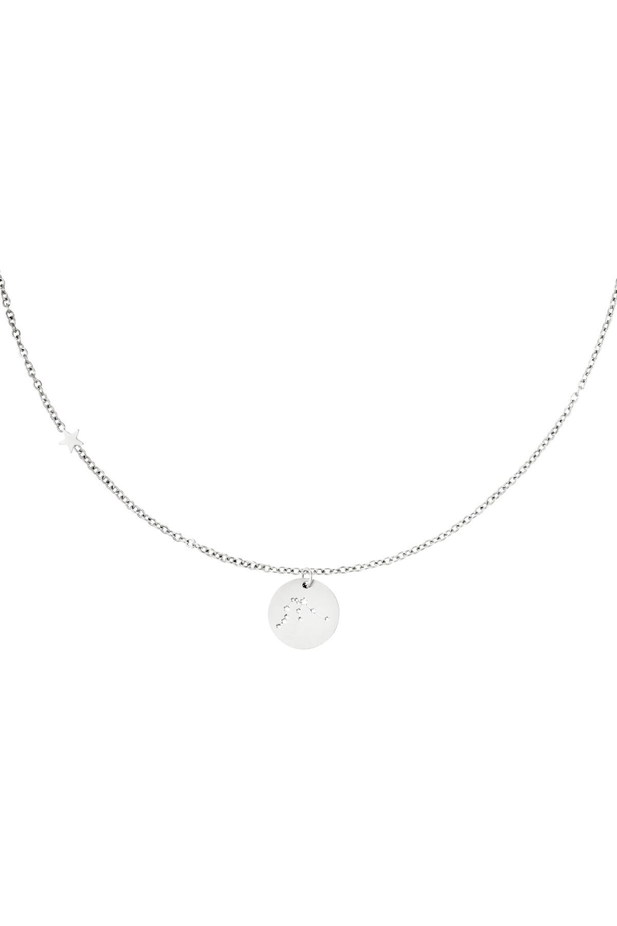 Silver color / Necklace zodiac sign Acquarius Silver Stainless Steel 