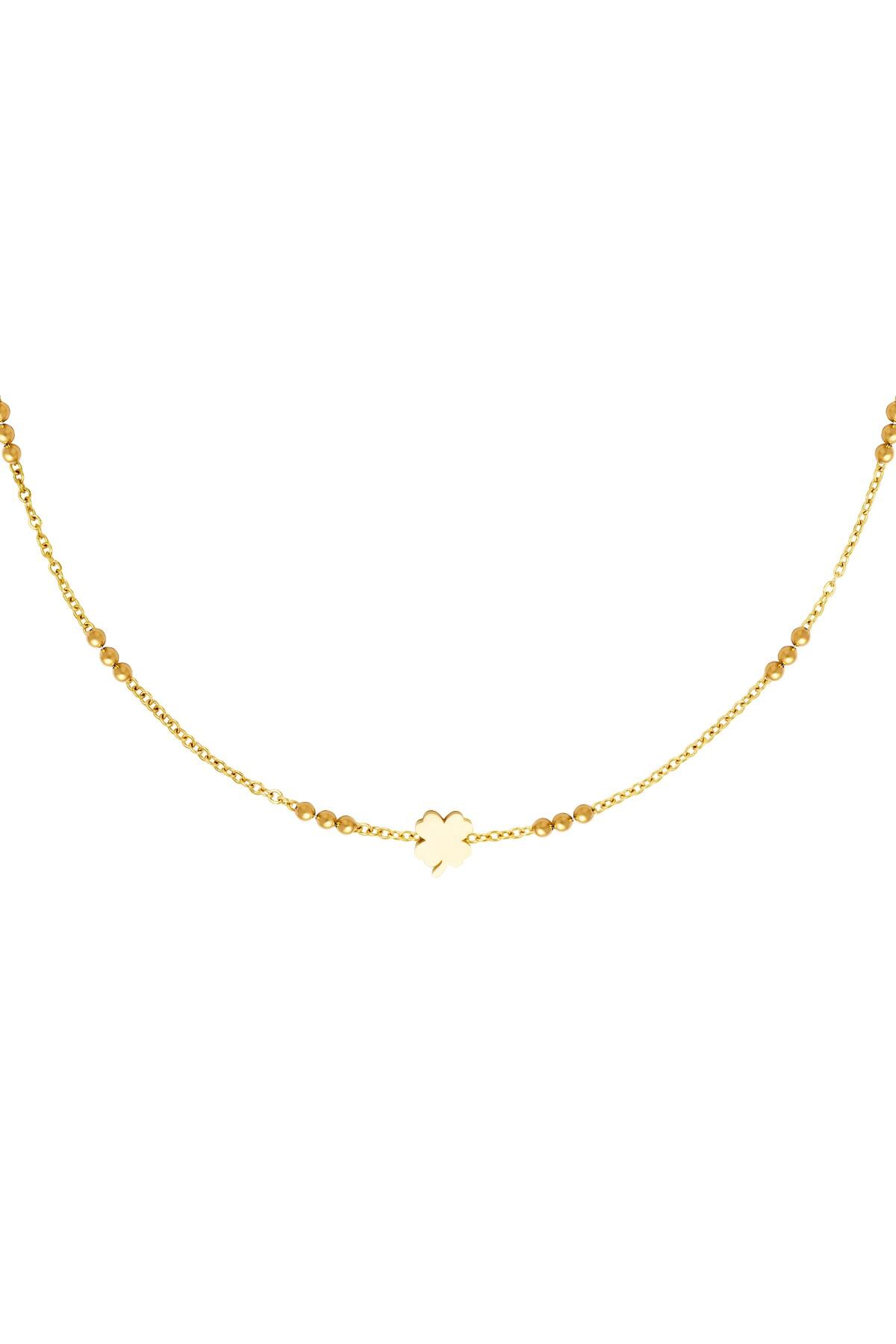 Stainless steel necklace Gold h5 