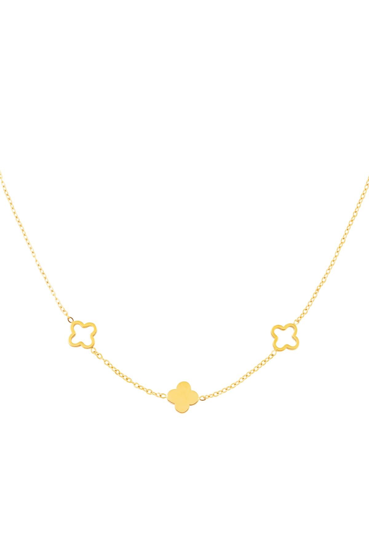 Necklace clovers  Gold Stainless Steel h5 