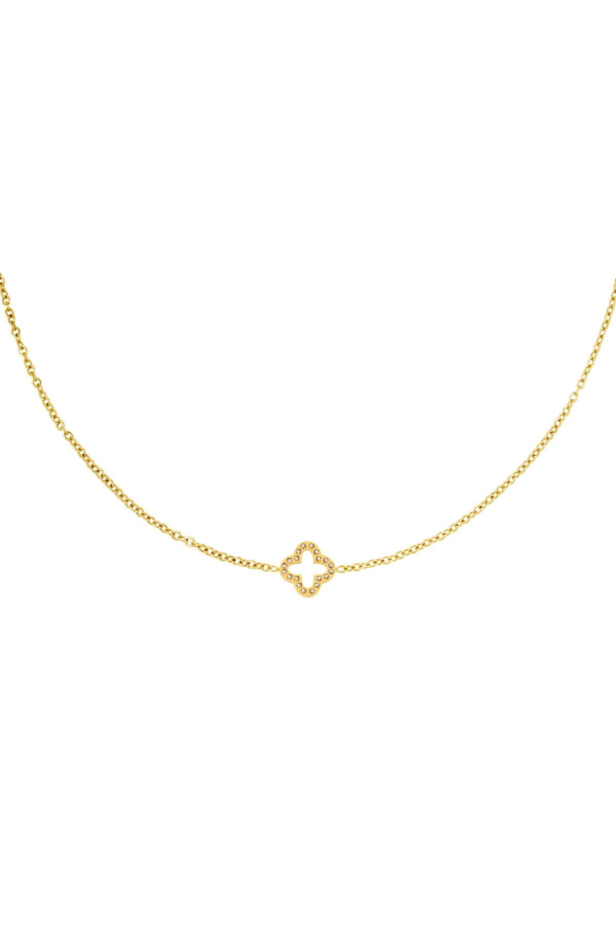 Necklace clover zircon Gold Stainless Steel h5 