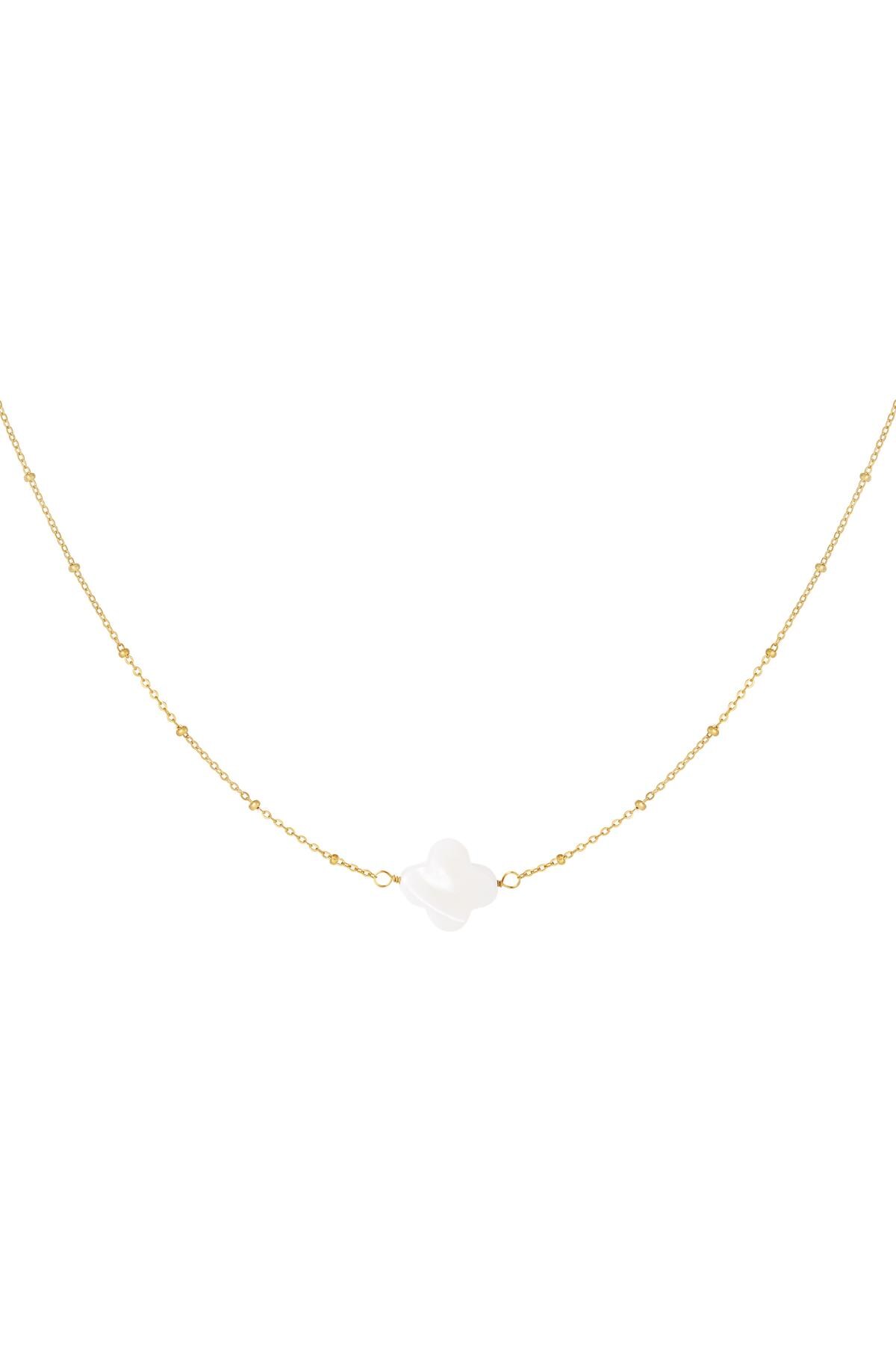 Necklace seashell clover Gold Stainless Steel h5 