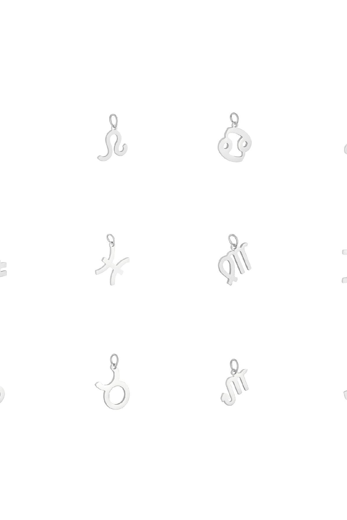 Charm Zodiac Taurus Silver Stainless Steel Picture2