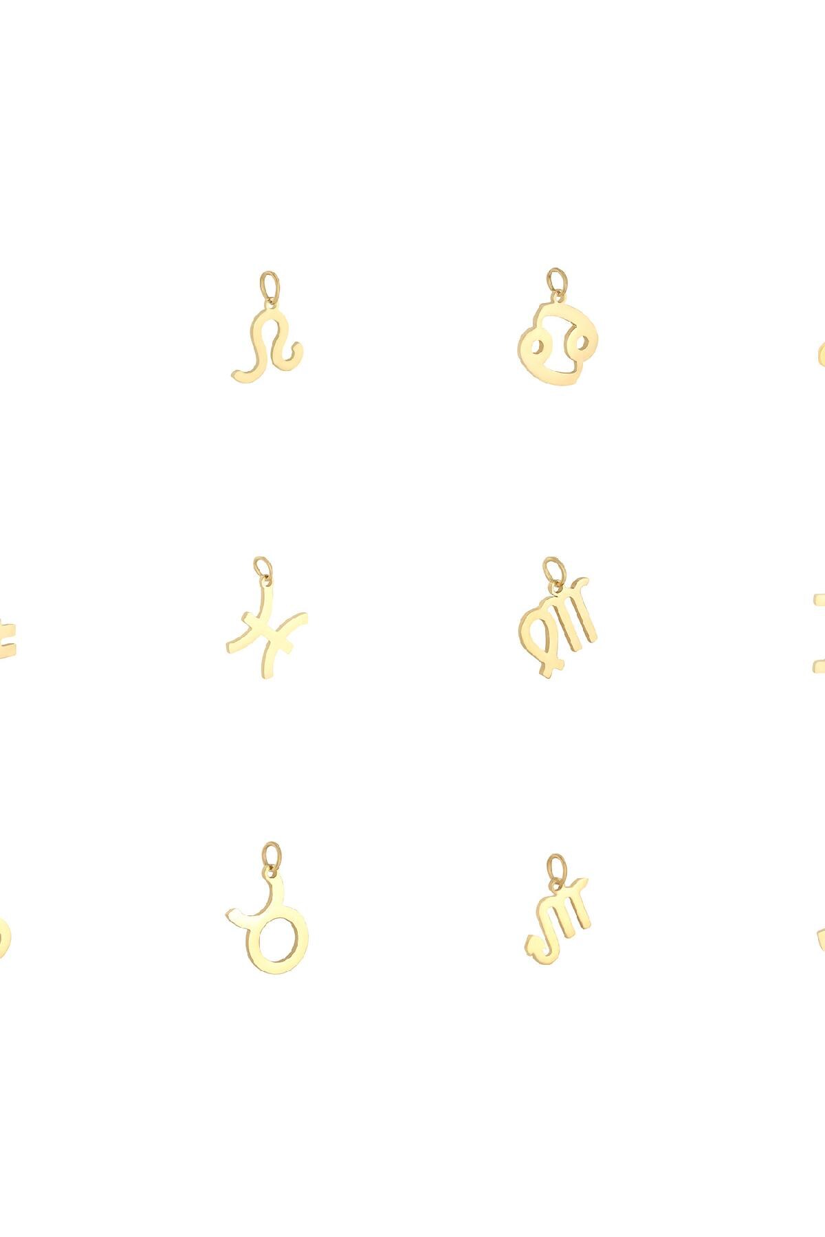 Charm Zodiac Cancer Gold Stainless Steel Picture2