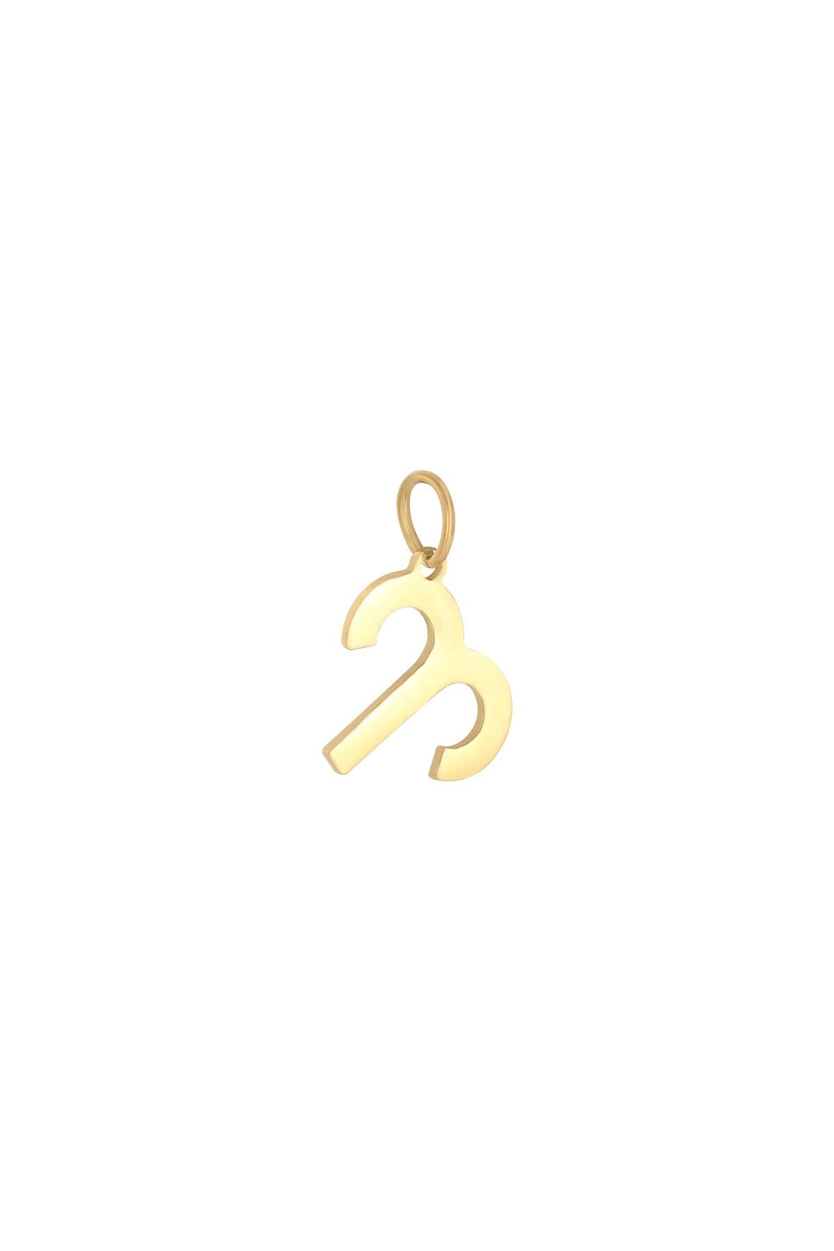 Gold color / Charm Zodiac Aries Gold Stainless Steel Picture18