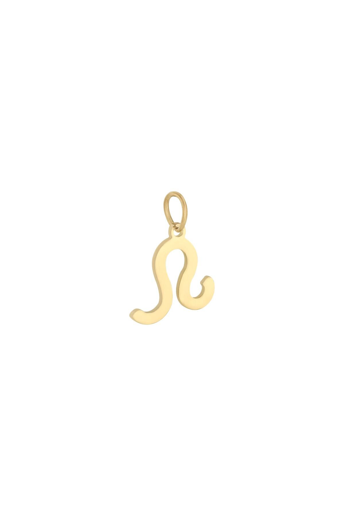 Gold color / Charm Zodiac Leo Gold Stainless Steel Picture16