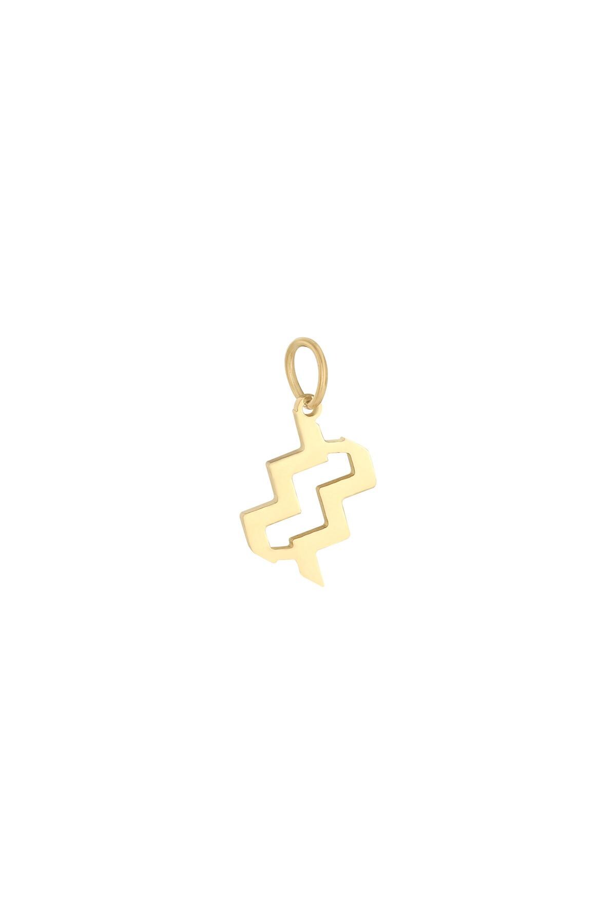 Charm Zodiac Aquarius Gold Color Stainless Steel h5 