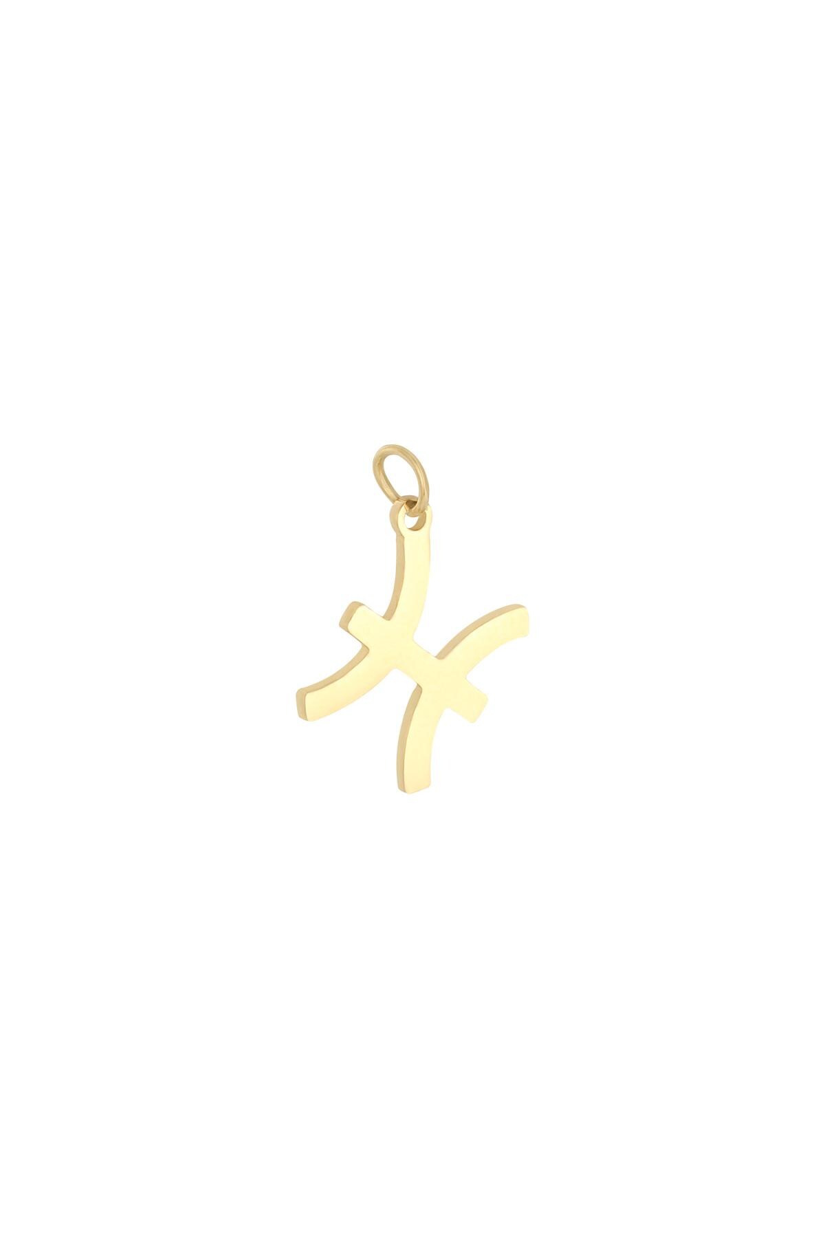 Charm Zodiac Pisces Gold Color Stainless Steel h5 