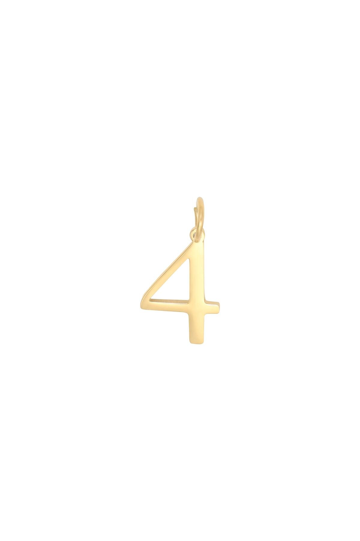 Gold color / DIY Charm Digits Gold - 4 Stainless Steel Picture14