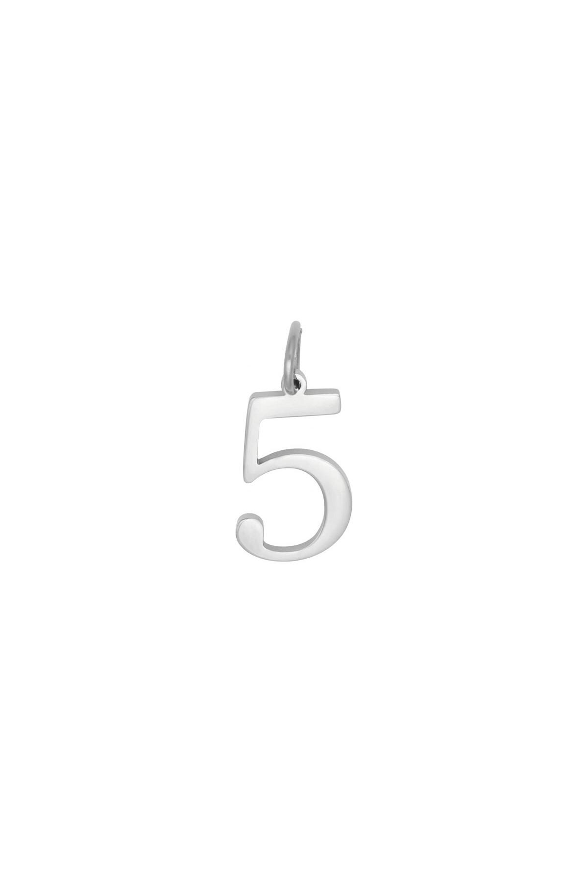 Silver color / DIY Charm Digits Silver - 5 Stainless Steel Picture6