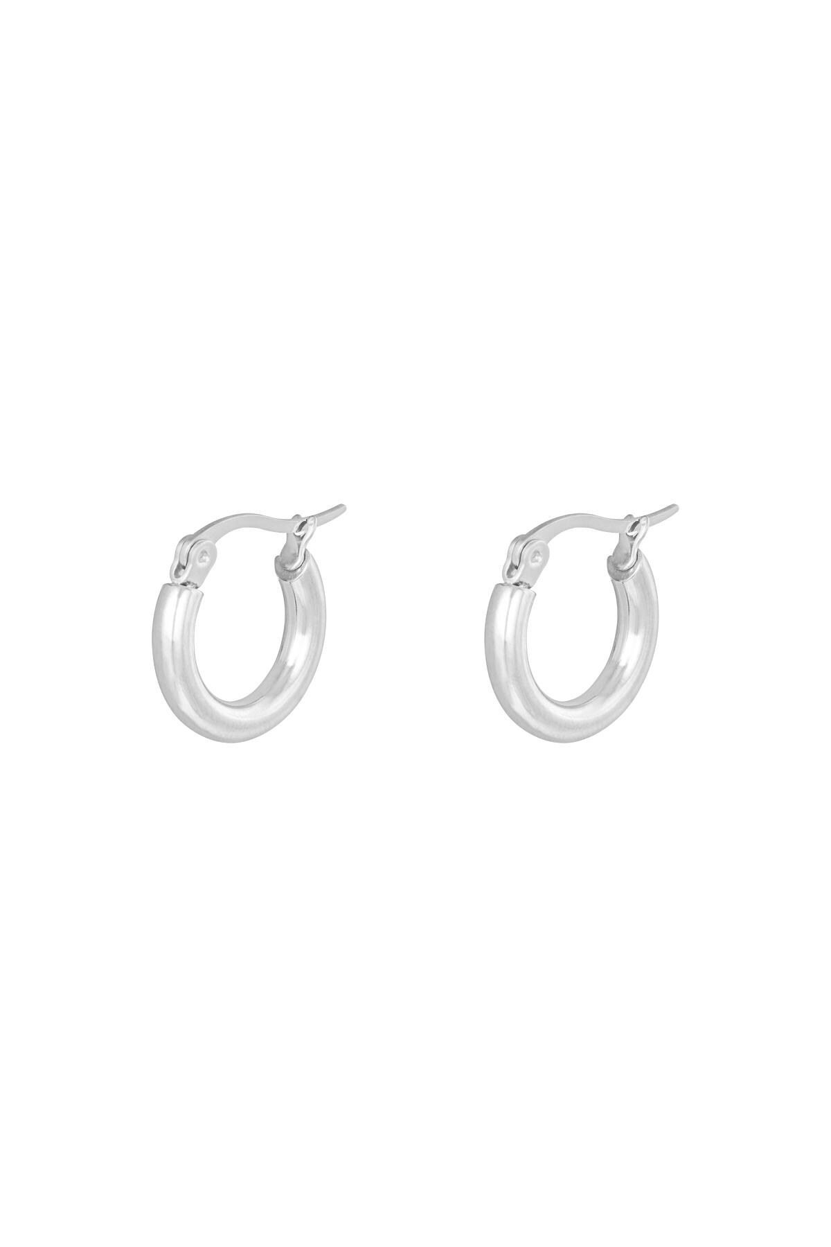 Silver color / Earrings Hoops Smooth 15 mm Silver Stainless Steel 