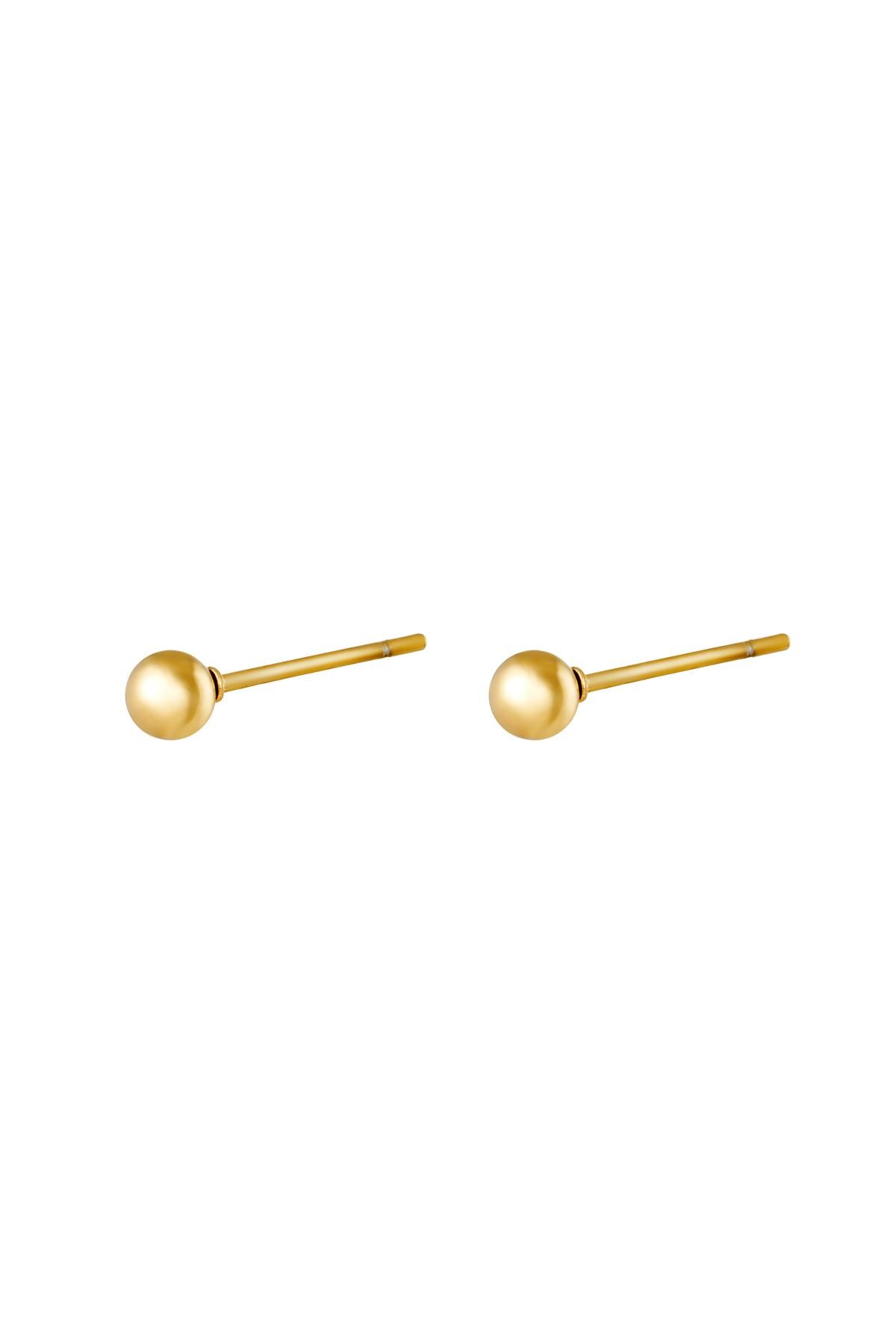 Gold color / Earrings Big Dot Gold Stainless Steel 