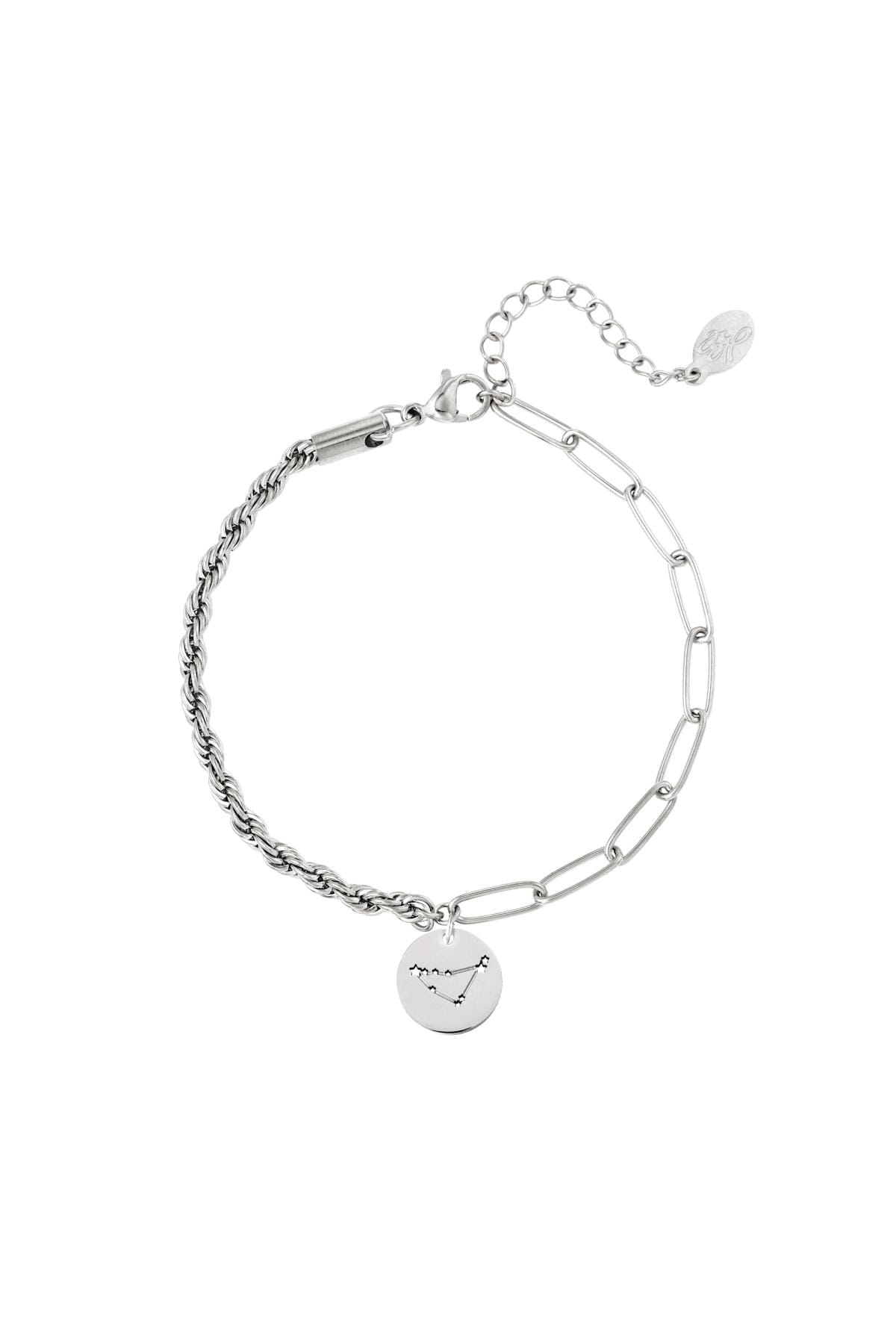 Bracelet signe du zodiaque Capricorne Argenté Acier inoxydable h5 