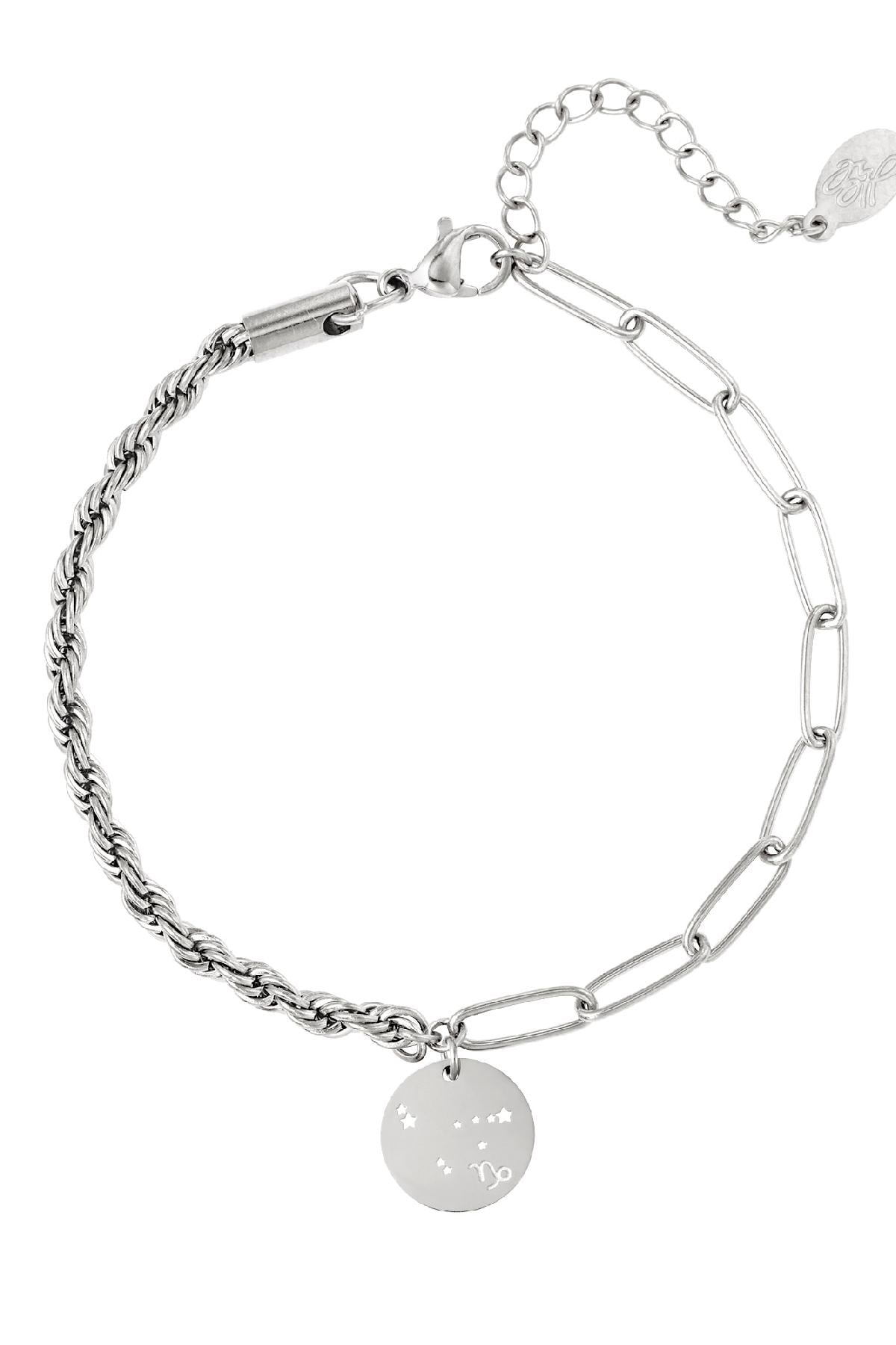 Bracelet signe du zodiaque Capricorne Argenté Acier inoxydable h5 Image2