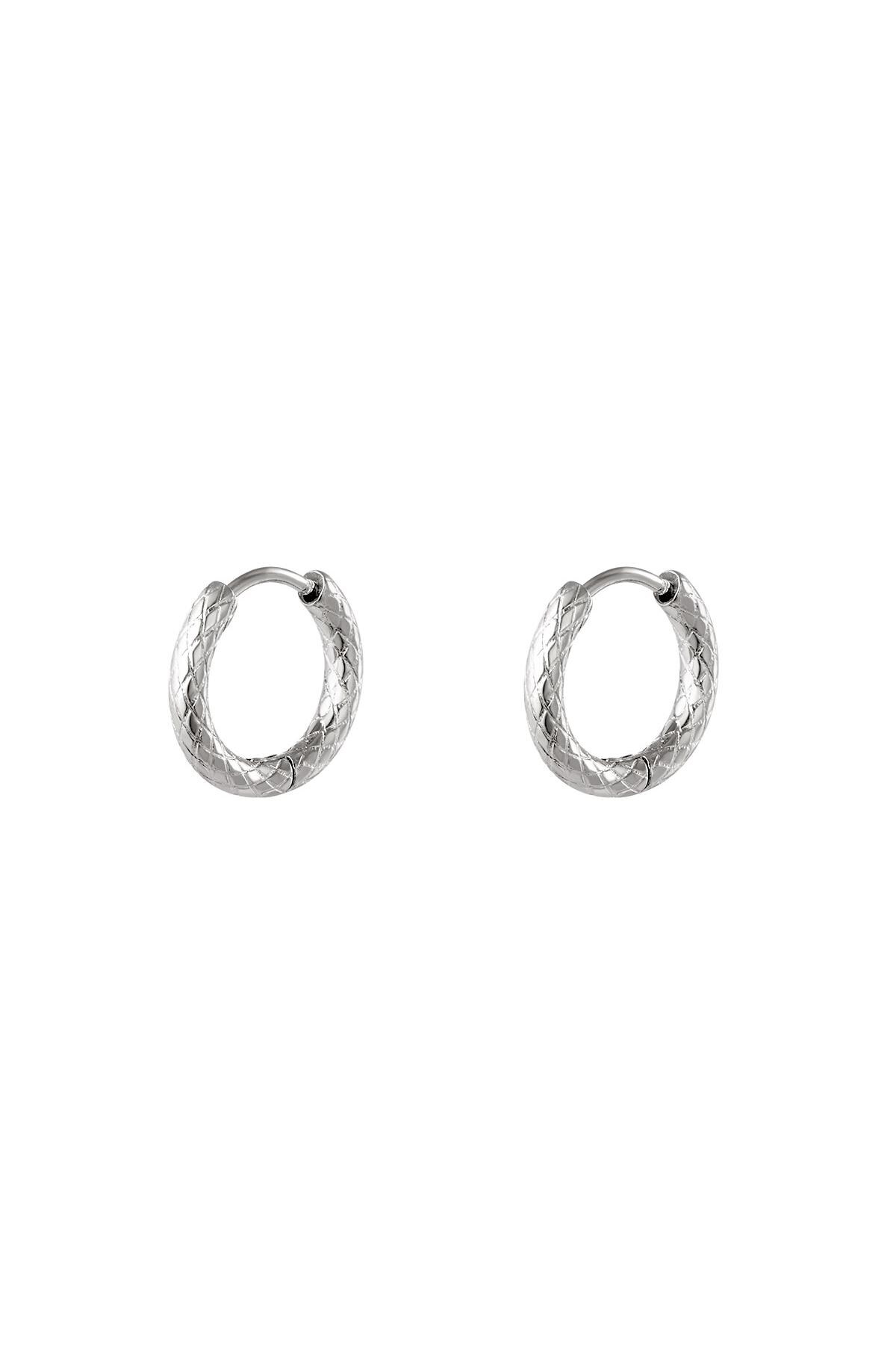 Silver color / Stainless steel hoop earrings Silver 