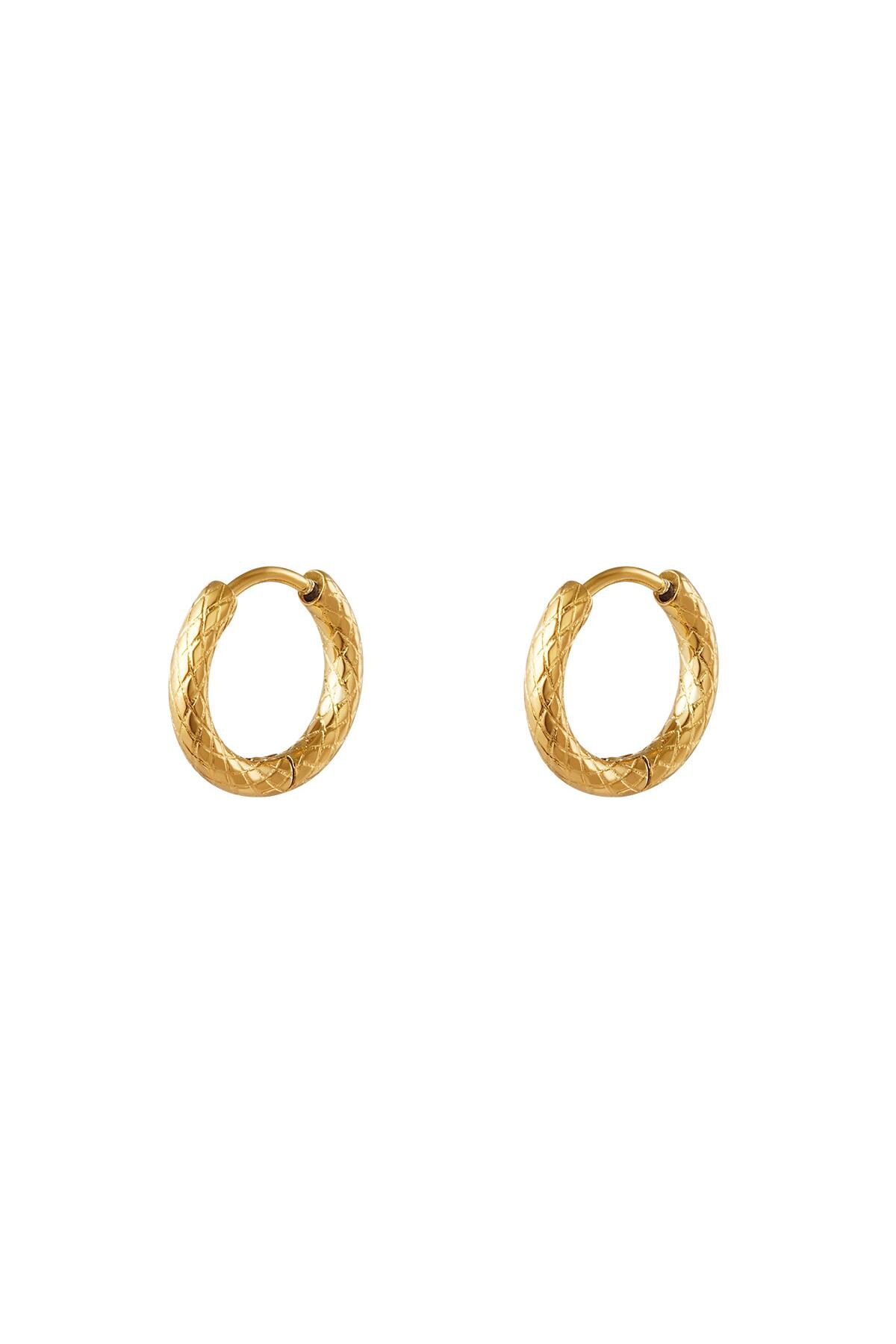 Gold color / Stainless steel hoop earrings Gold Picture2