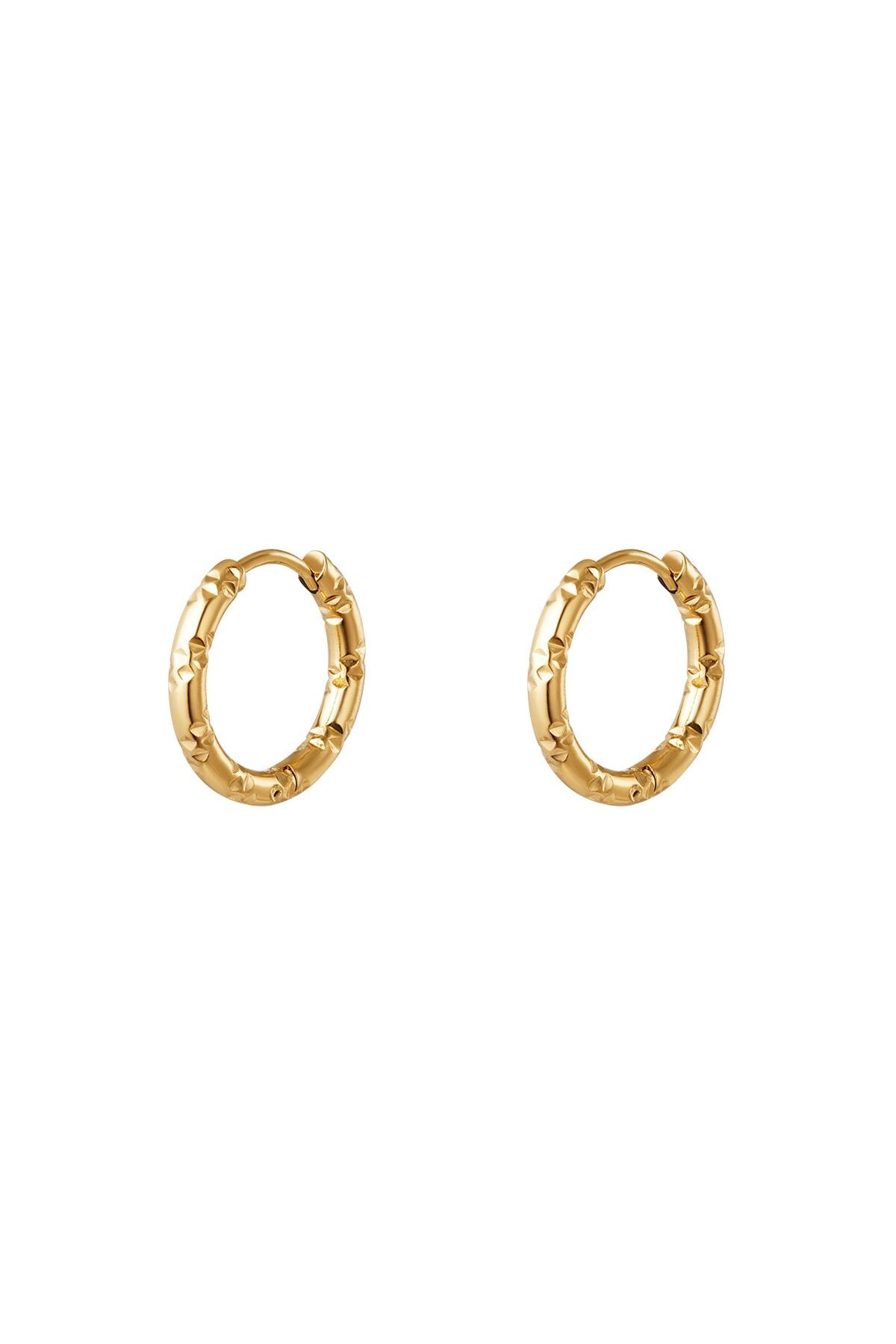 Gold color / Stainless steel hoop earrings Gold 