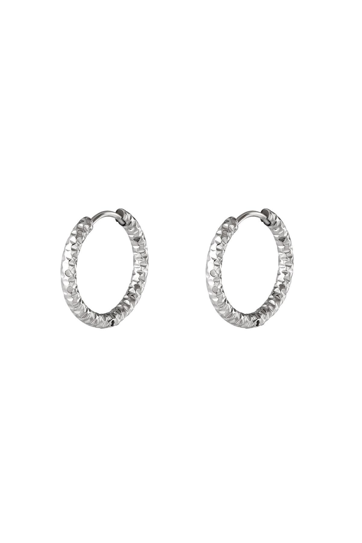 Silver color / Stainless steel hoop earrings Silver 