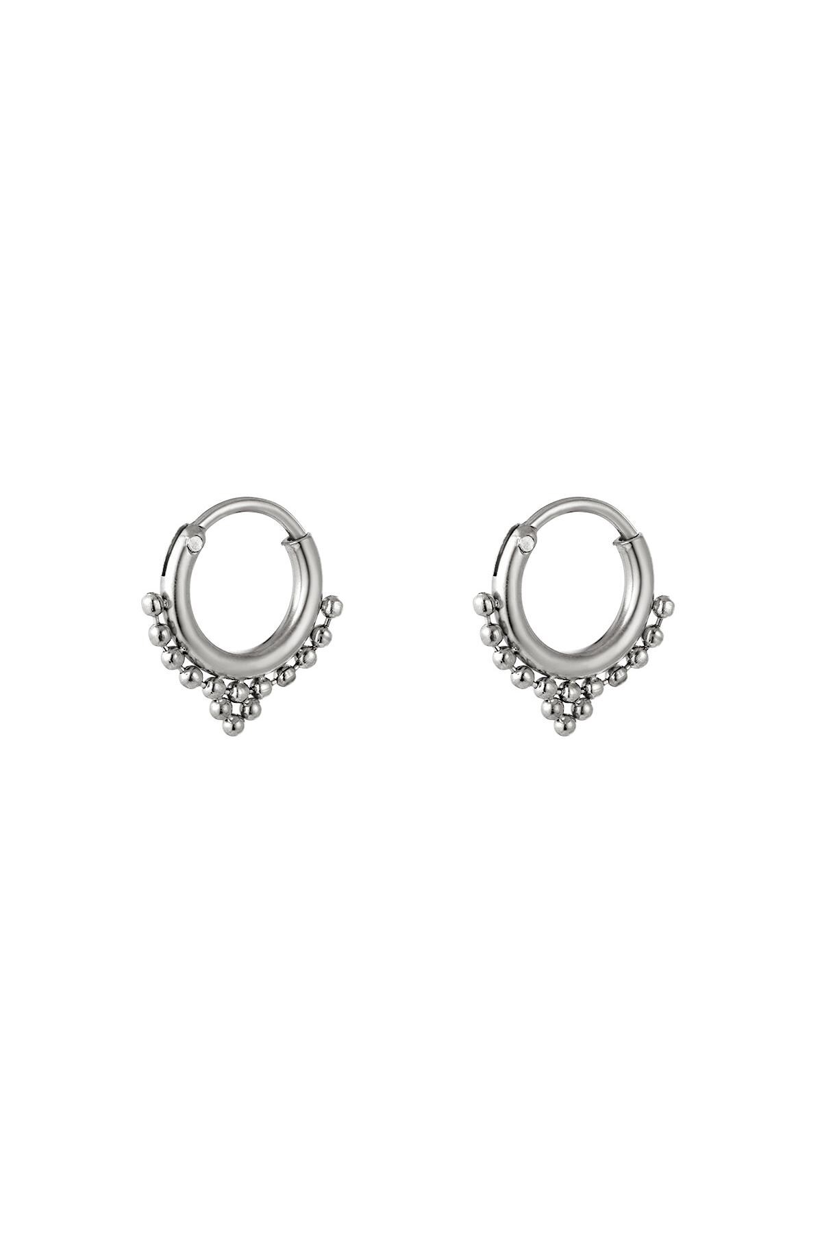 Stainless steel earrings Silver h5 