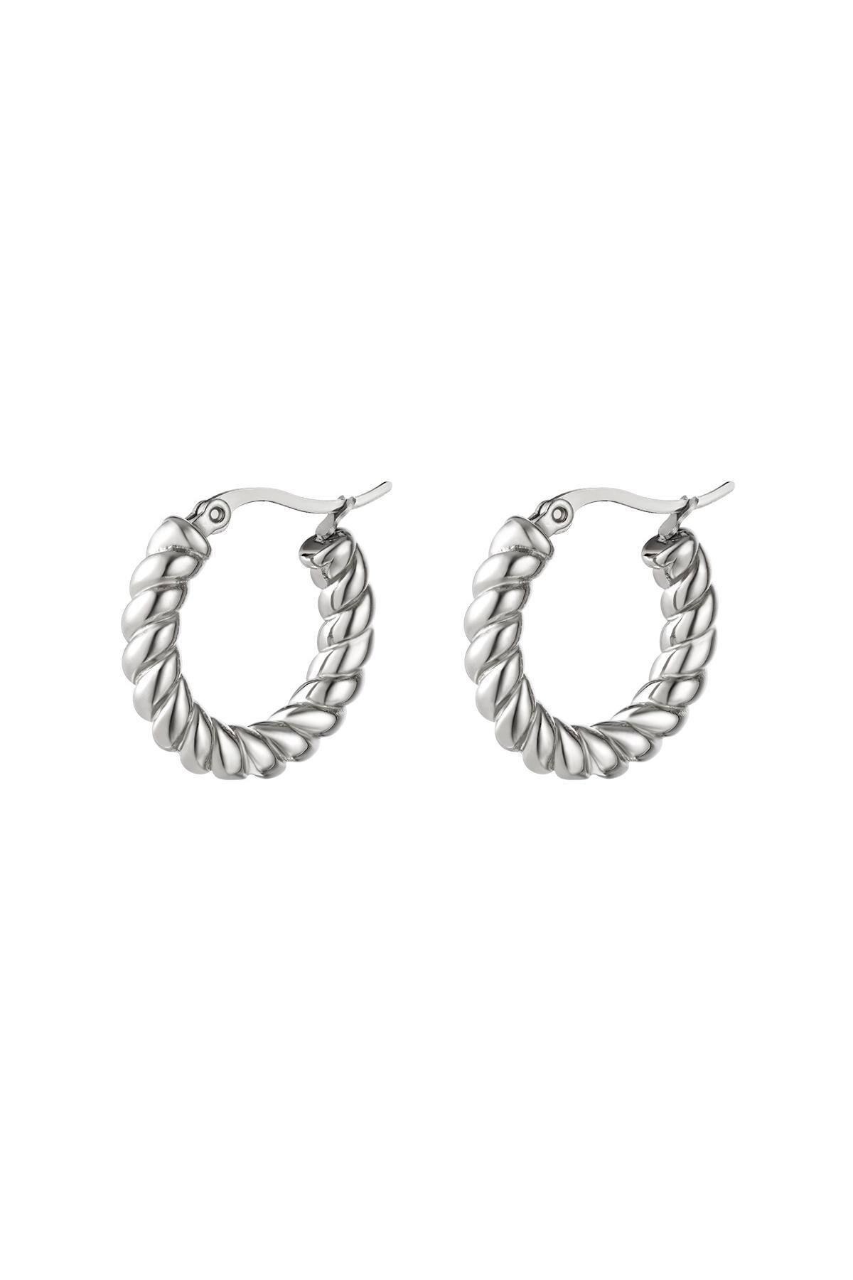 Stainless steel earrings turned Silver h5 