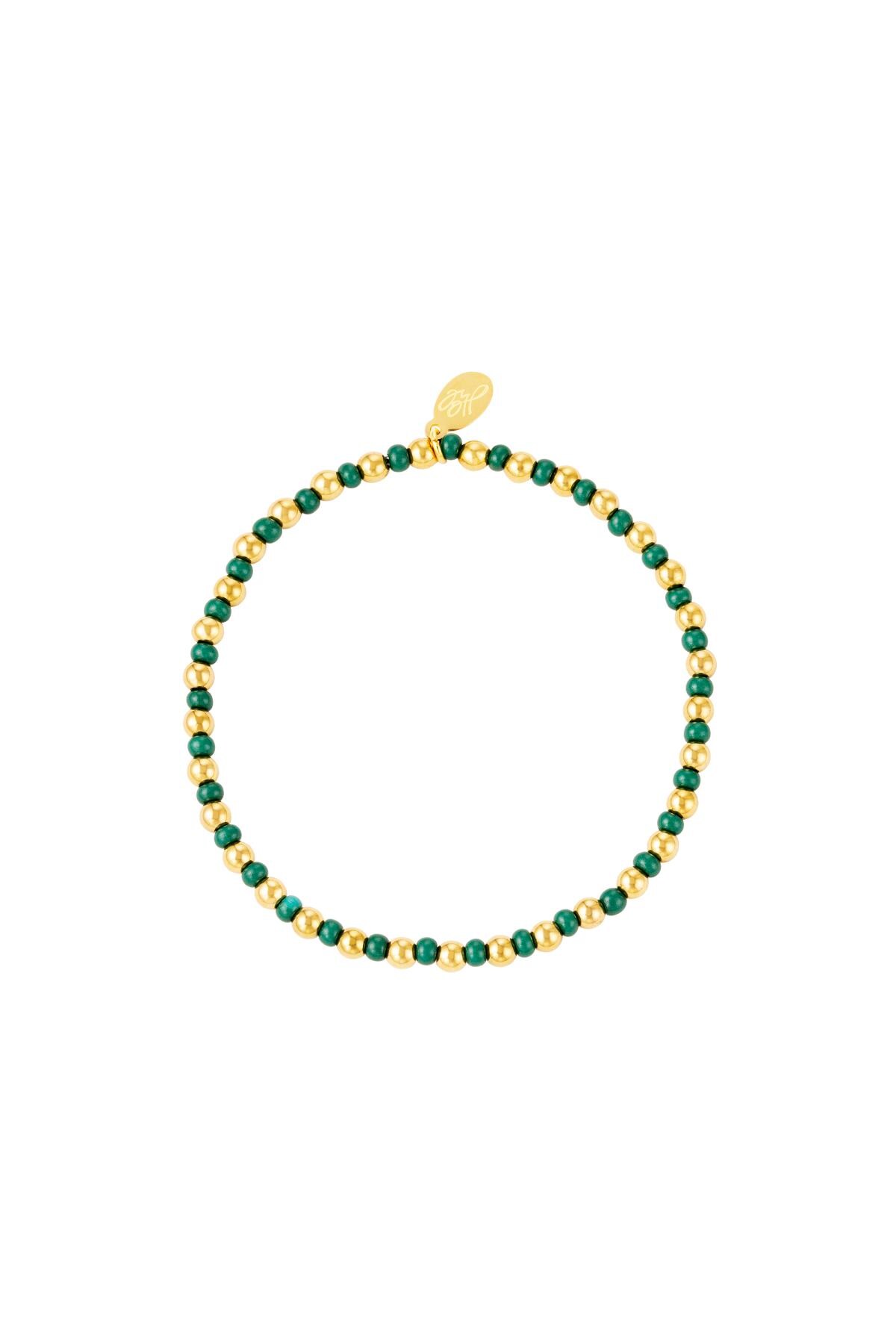 Bracelet two-tone Green Stainless Steel h5 