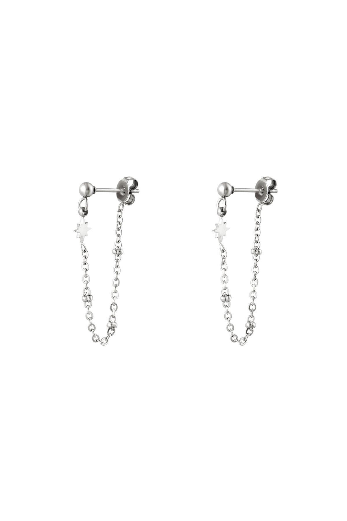 Stainless steel earrings with chain Silver h5 