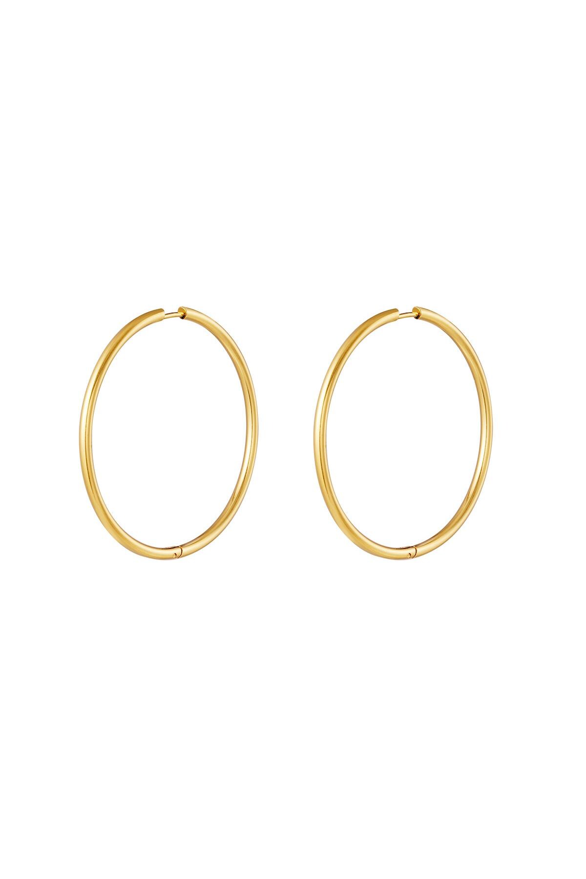 Stainless steel earrings hoops medium Gold h5 