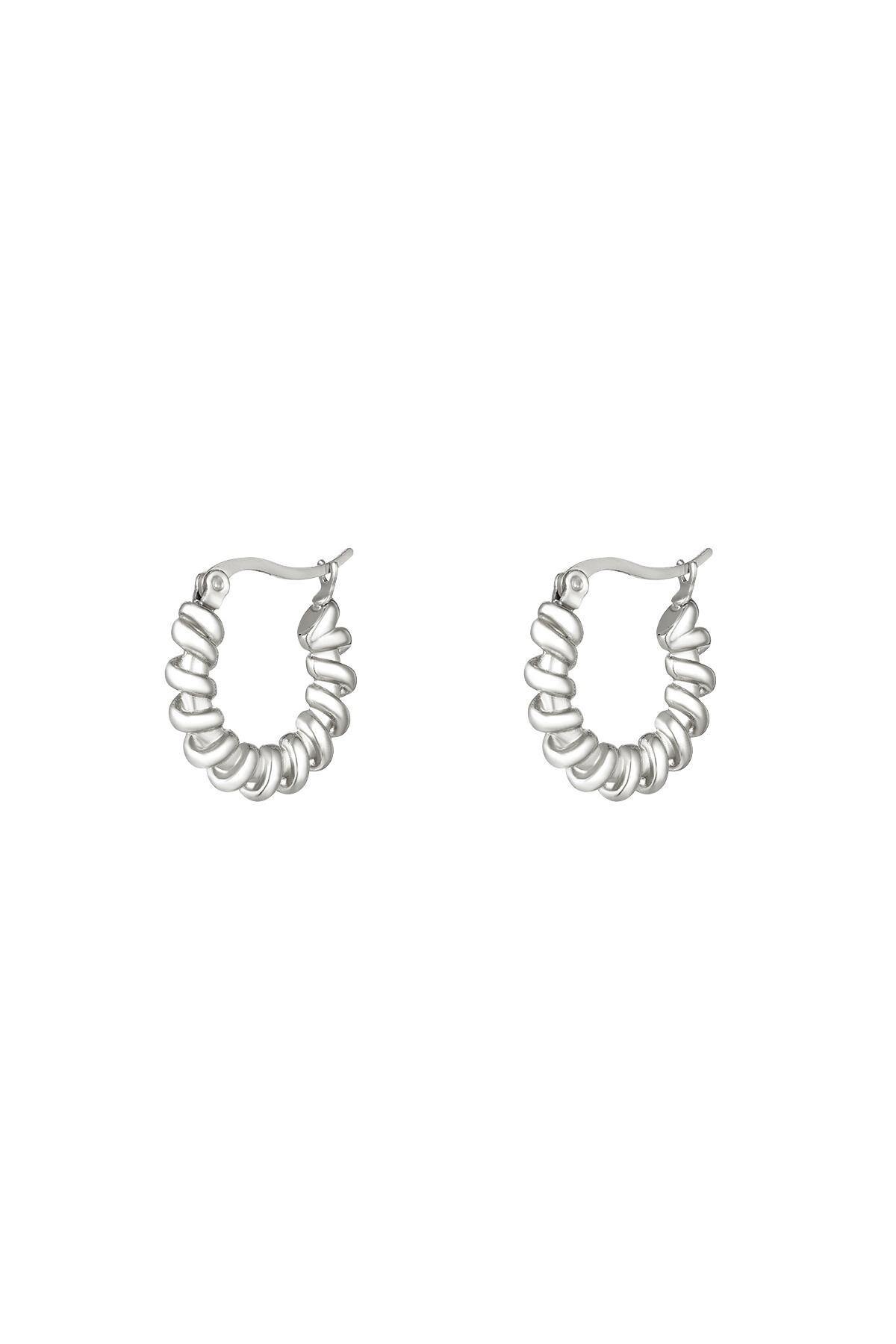 Stainless steel earrings Silver h5 