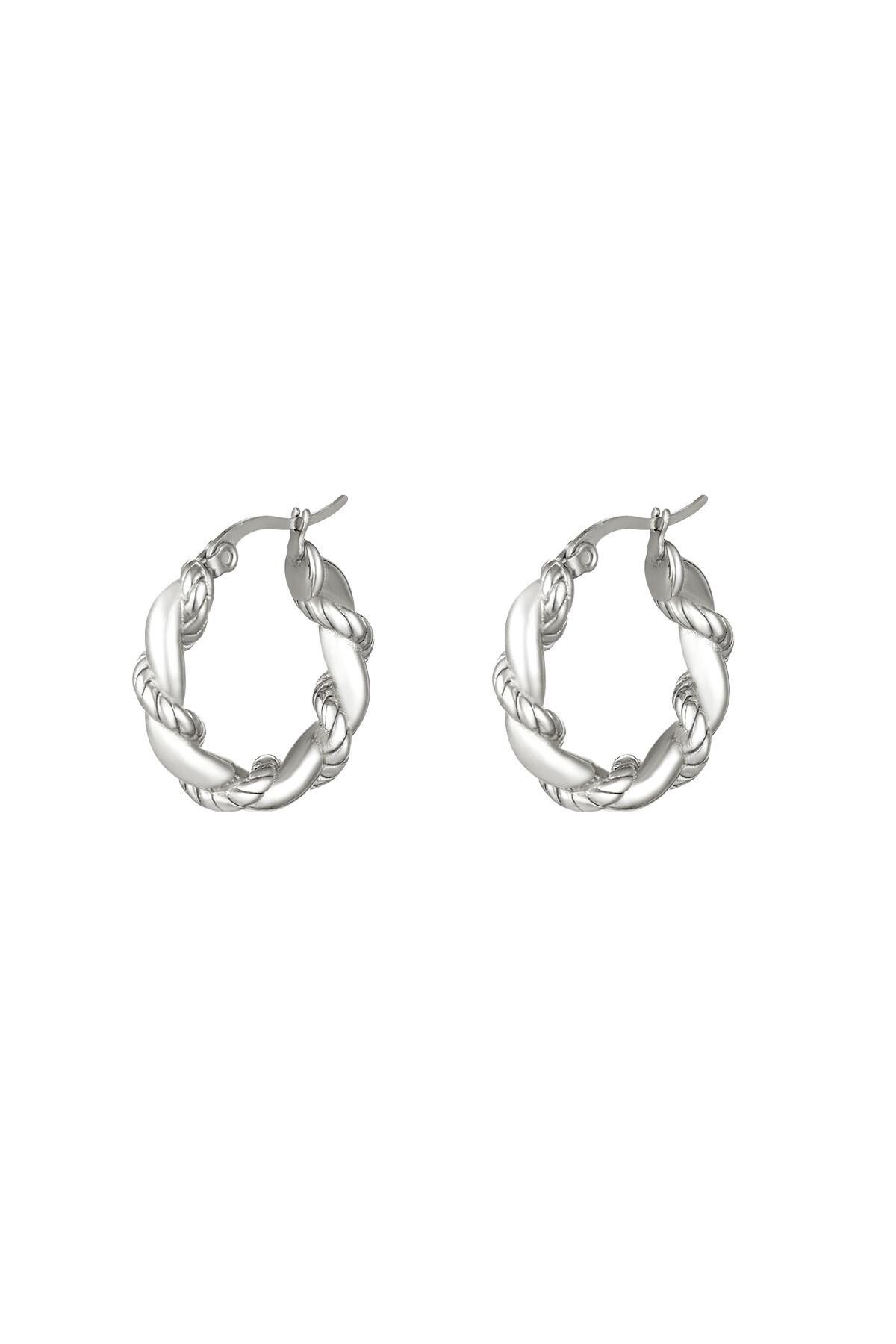 Stainless steel earrings Silver 