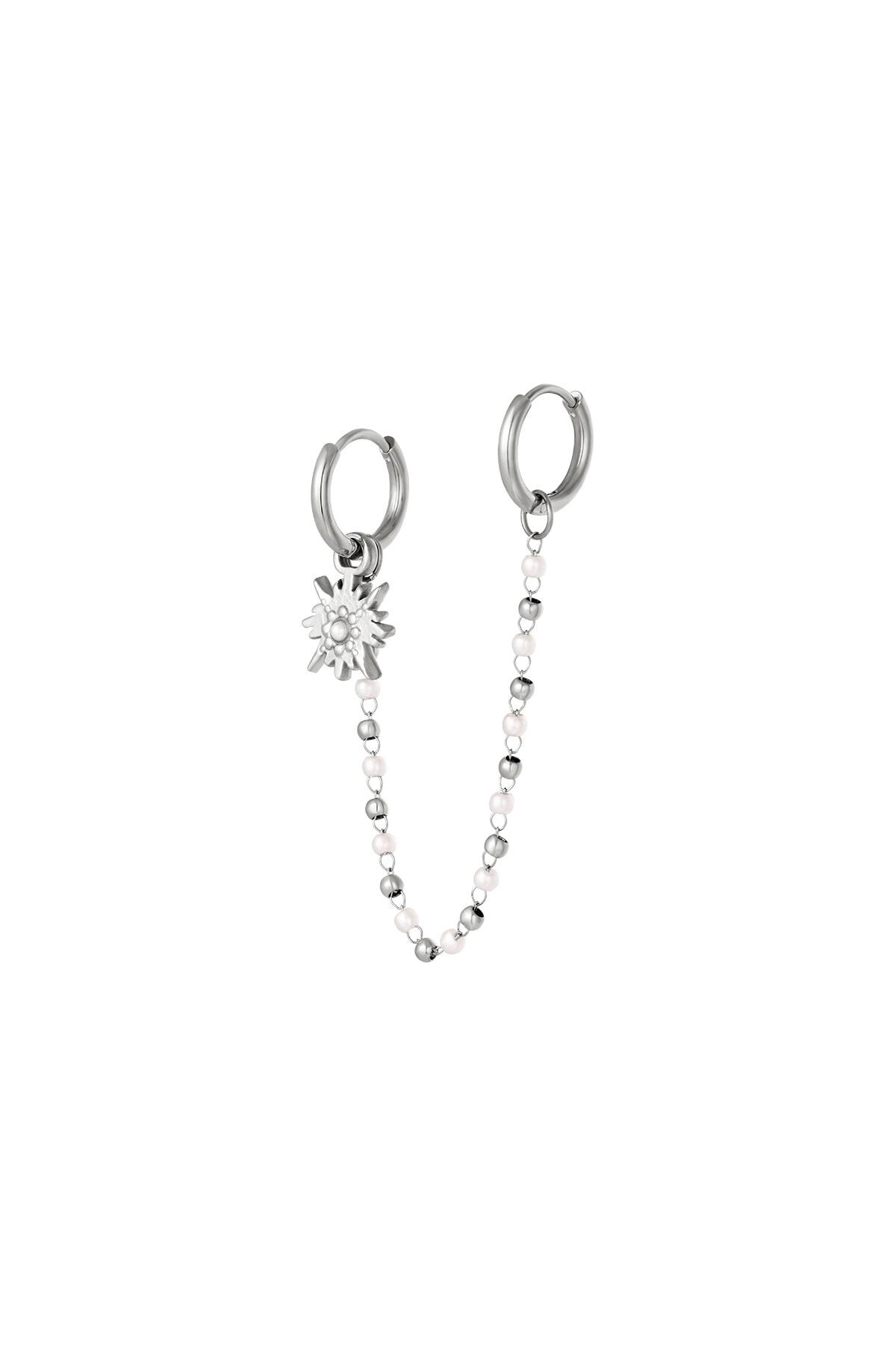 Stainless steel earrings Silver h5 