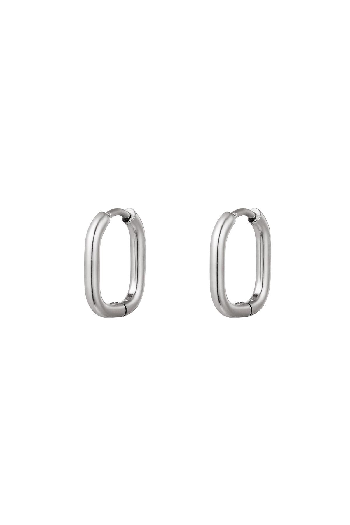 Earrings classic - small Silver Stainless Steel 