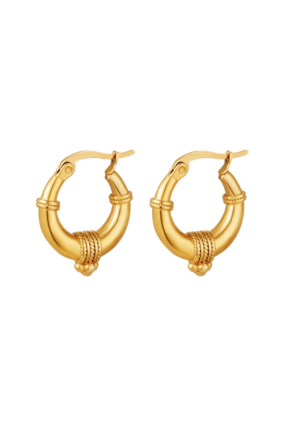 Stainless steel earrings with rope detail - small Gold h5 