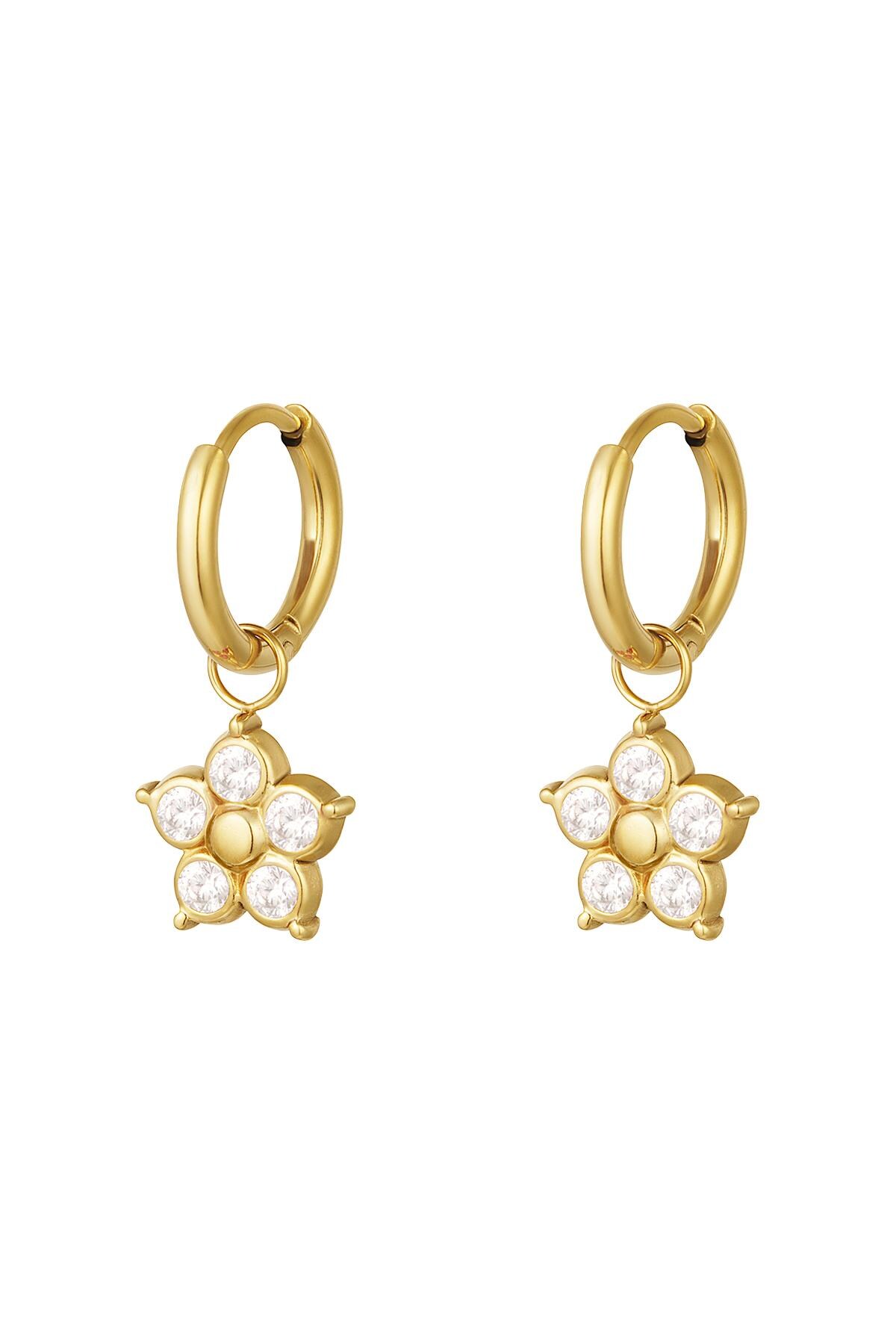 Zircon flower earrings Gold Stainless Steel h5 