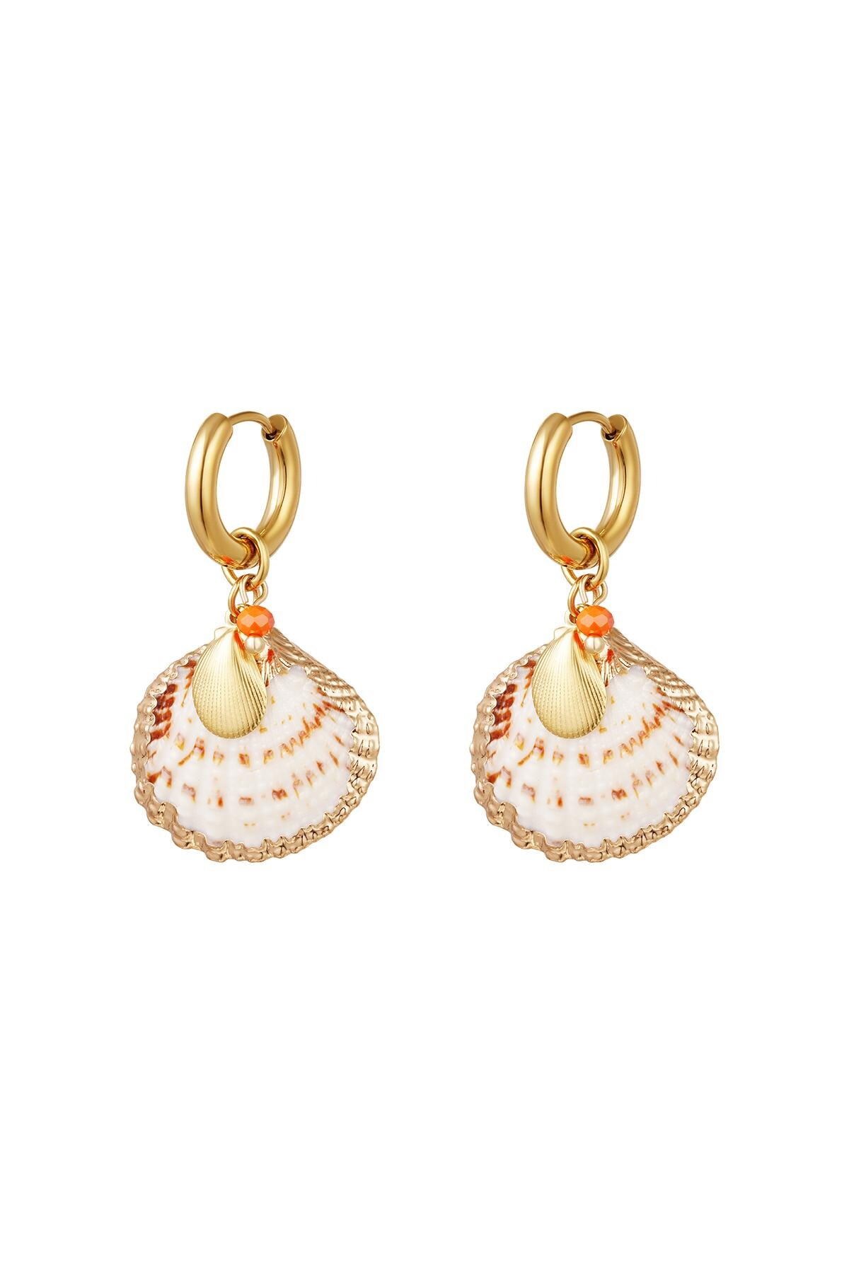 Big shell earrings - Beach collection Gold Stainless Steel h5 