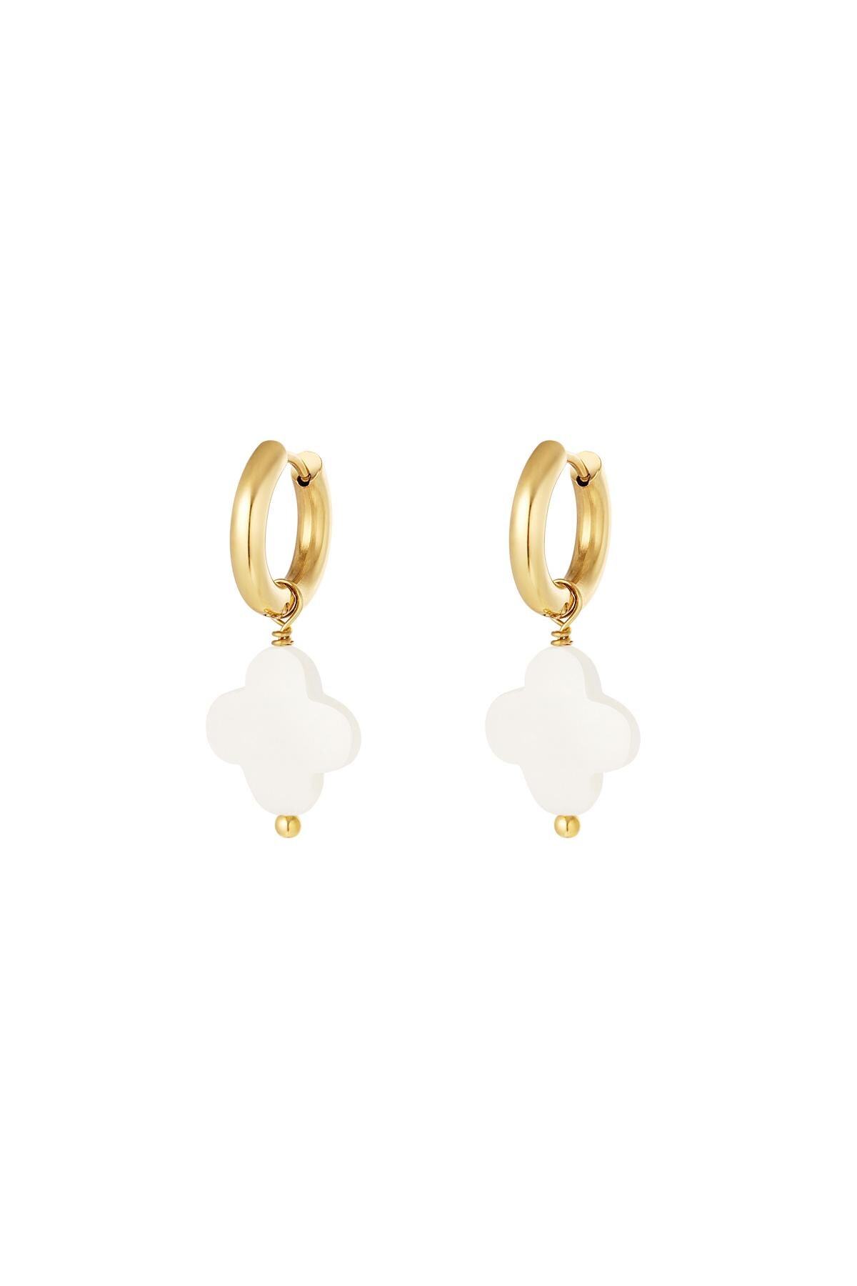 Earrings seashell clover Gold Stainless Steel 