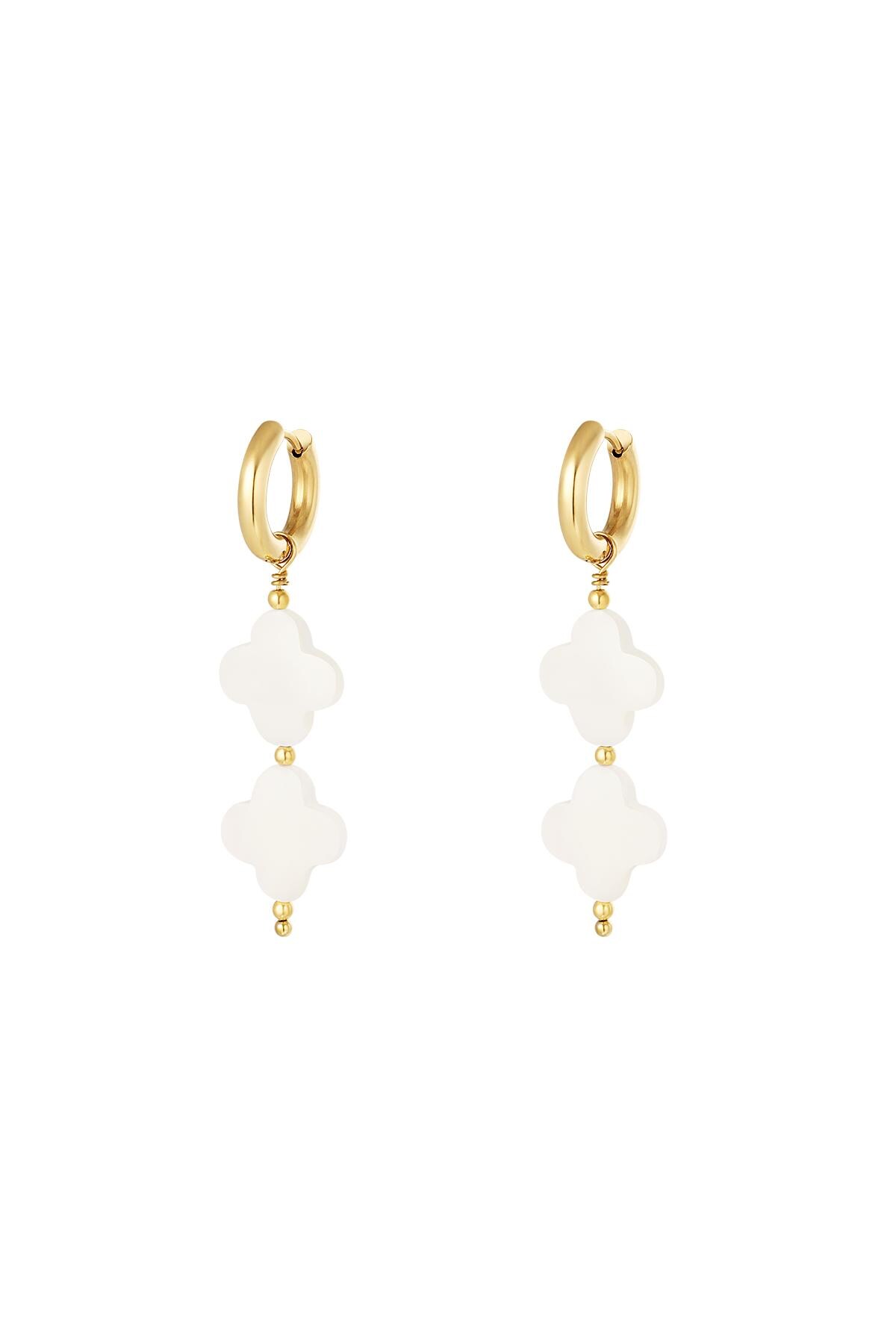 Earrings seashell clovers Gold Stainless Steel h5 