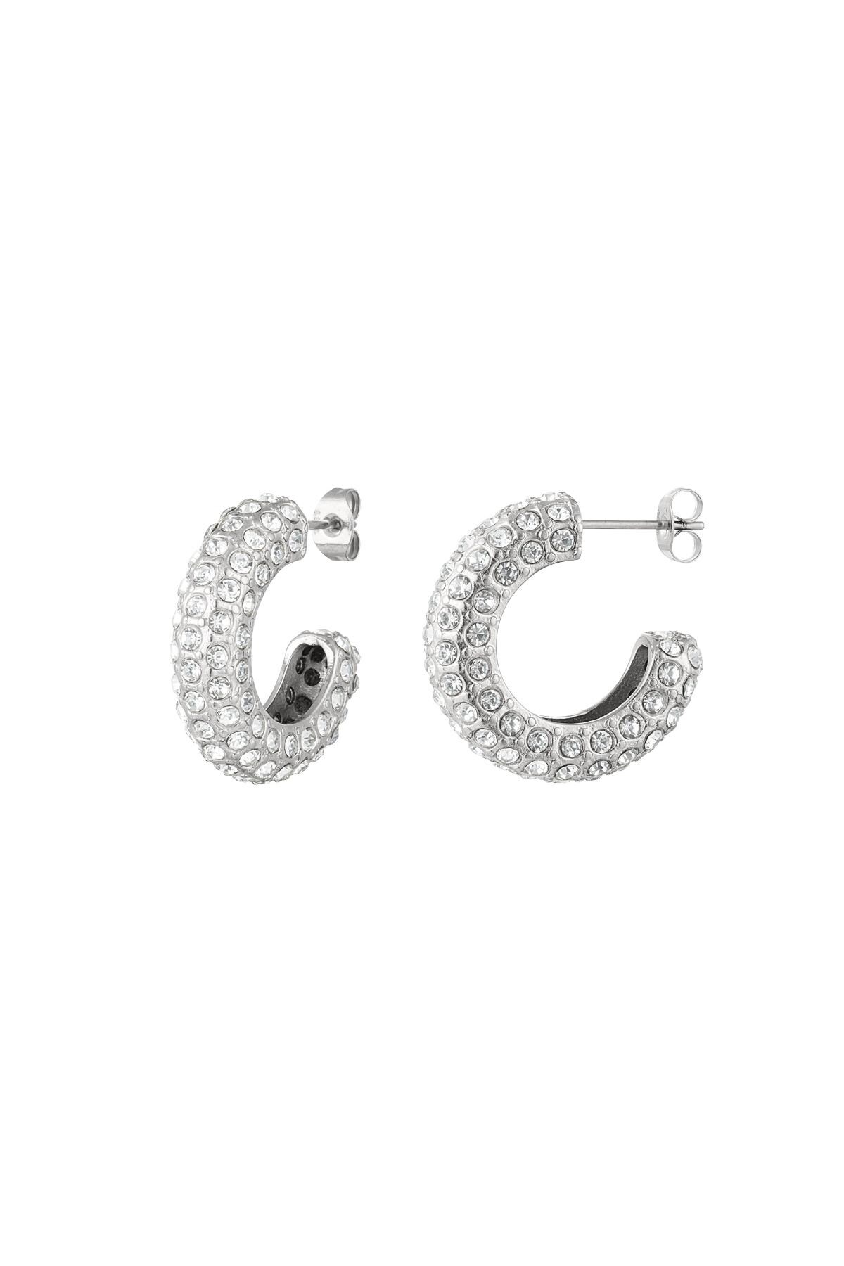 Ear studs zircon Silver Stainless Steel h5 