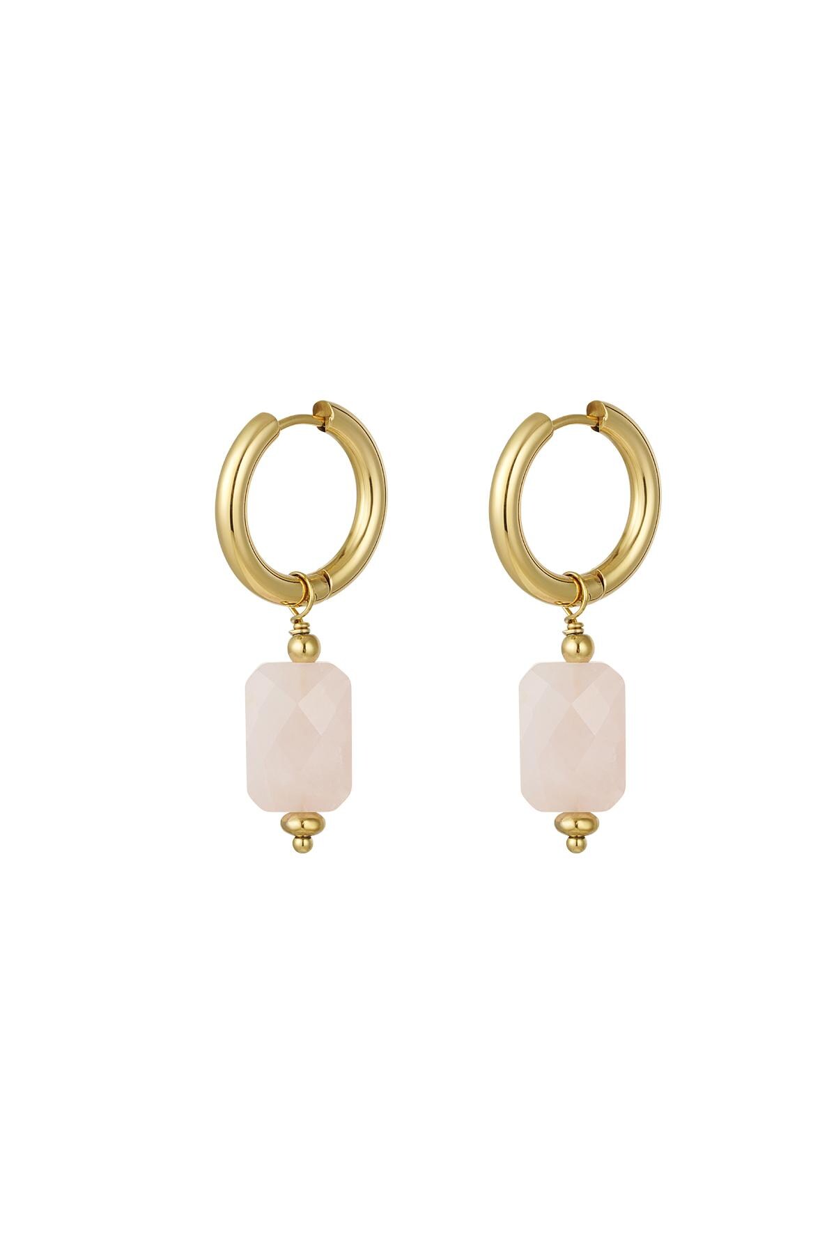 Orecchini con pendente rettangolare Pink & Gold Stainless Steel 